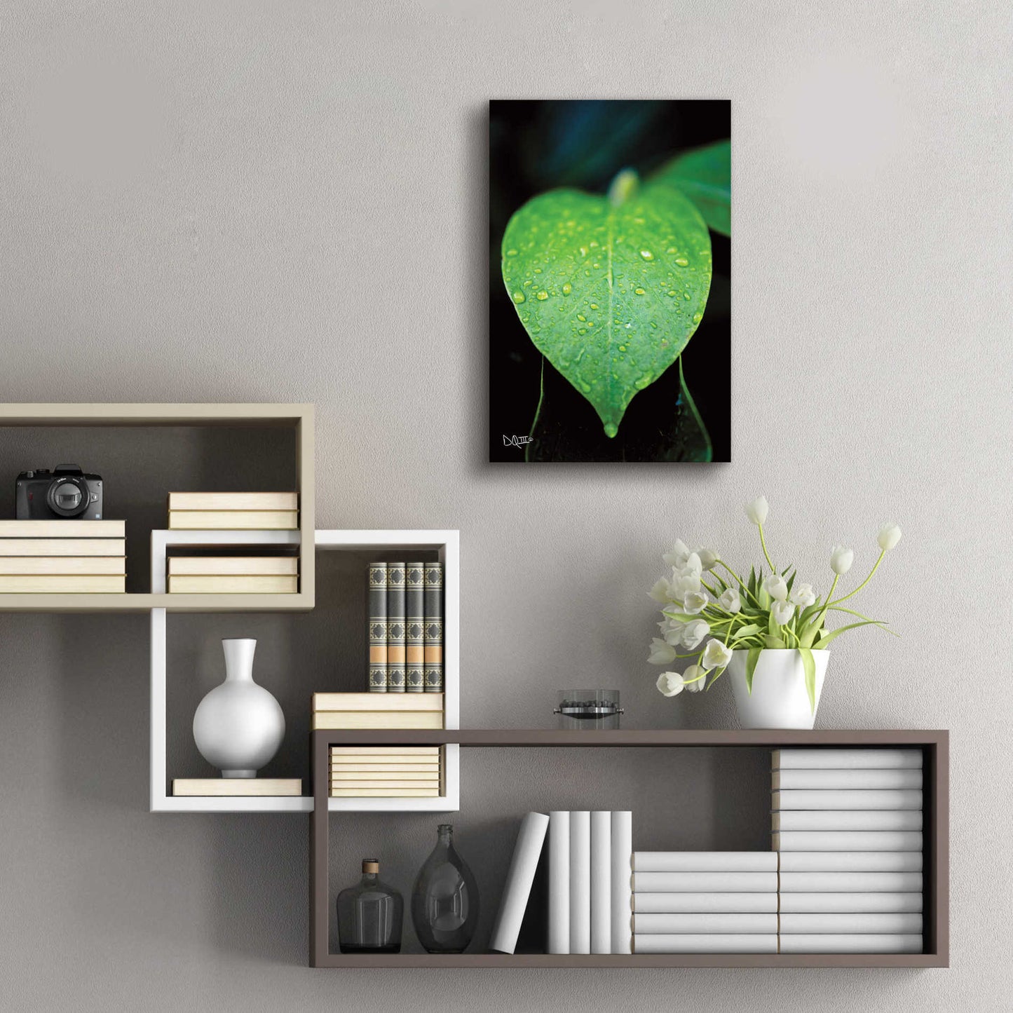 Epic Art 'Green Leaf' by Donnie Quillen, Acrylic Glass Wall Art,16x24