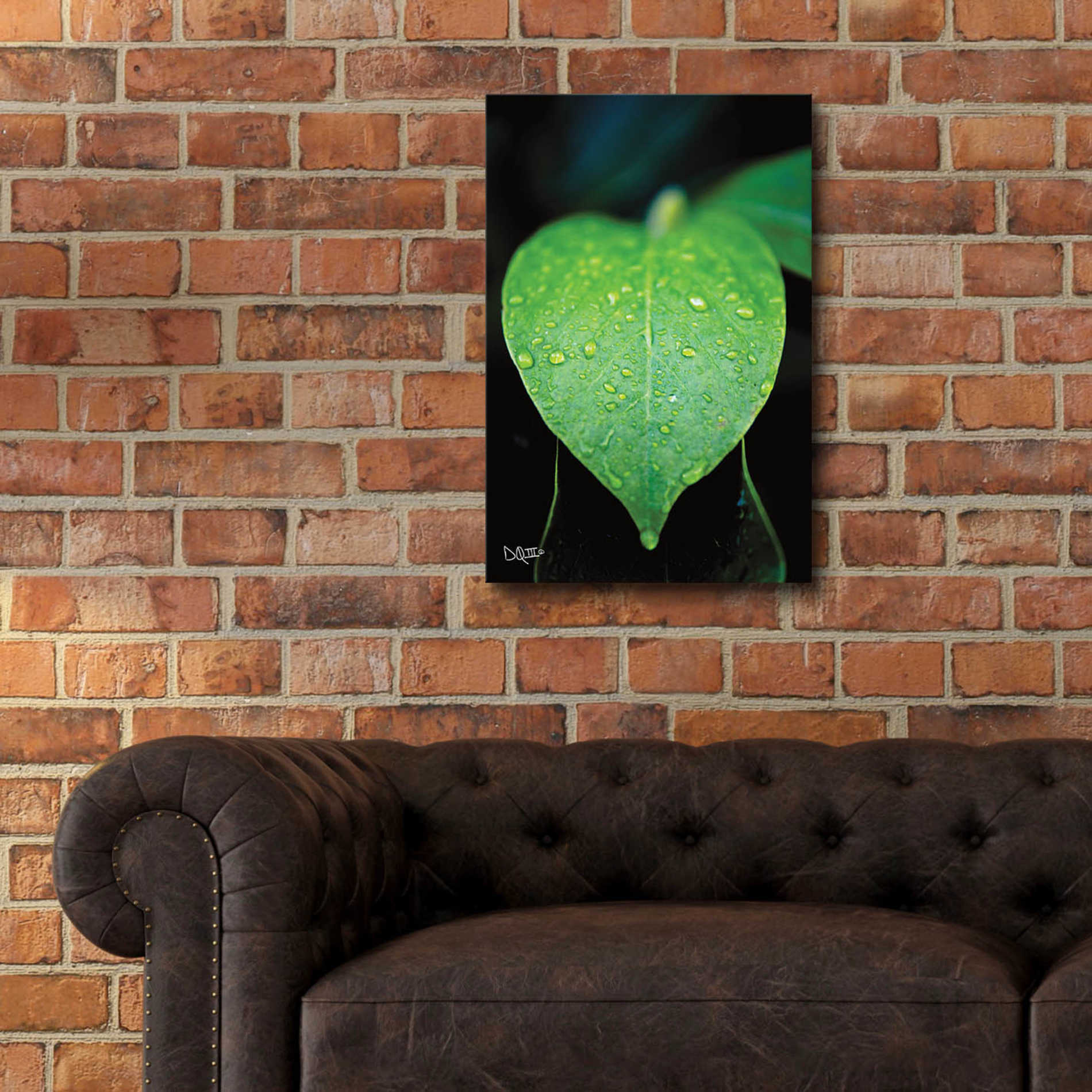 Epic Art 'Green Leaf' by Donnie Quillen, Acrylic Glass Wall Art,16x24