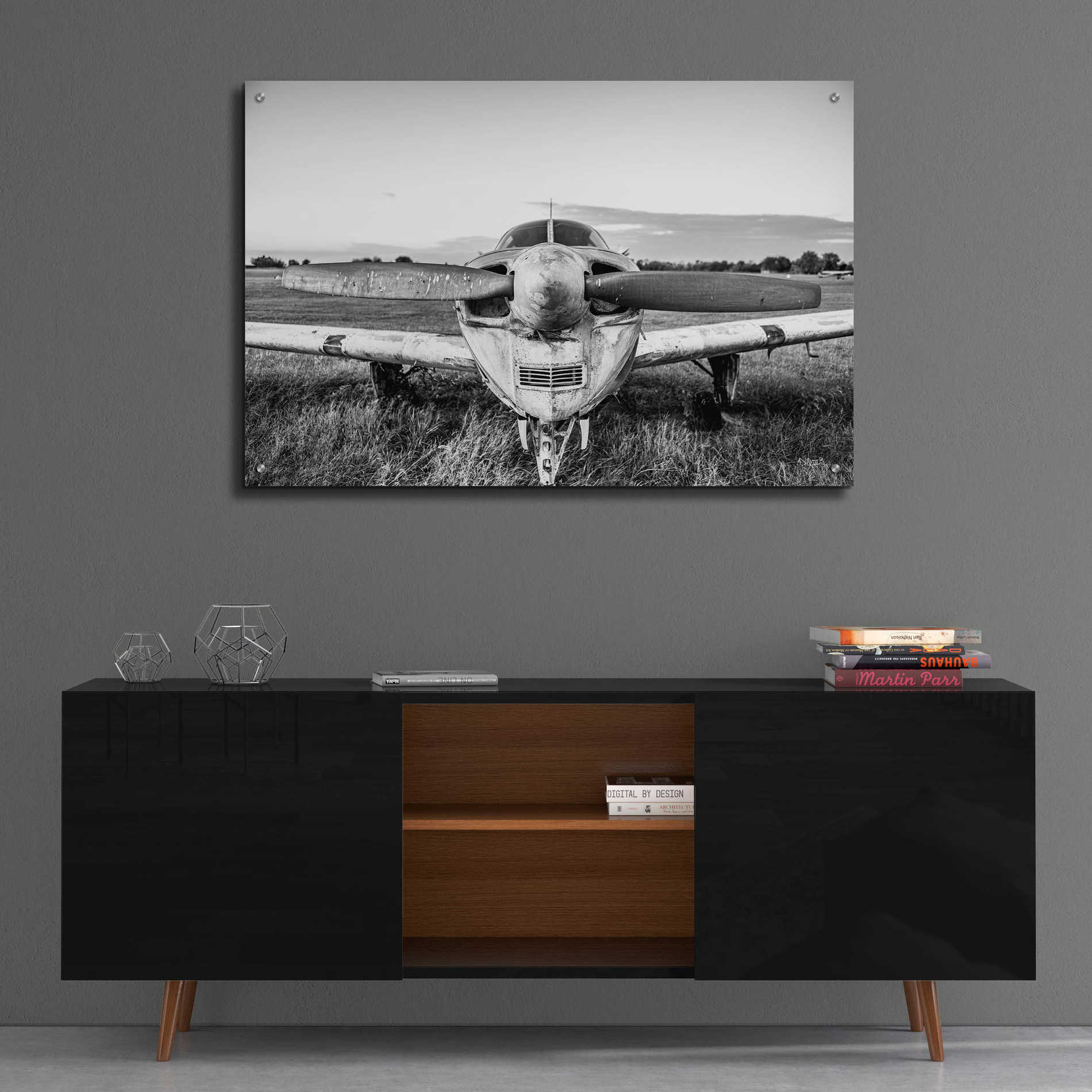 Epic Art 'Last Flight II' by Donnie Quillen, Acrylic Glass Wall Art,36x24