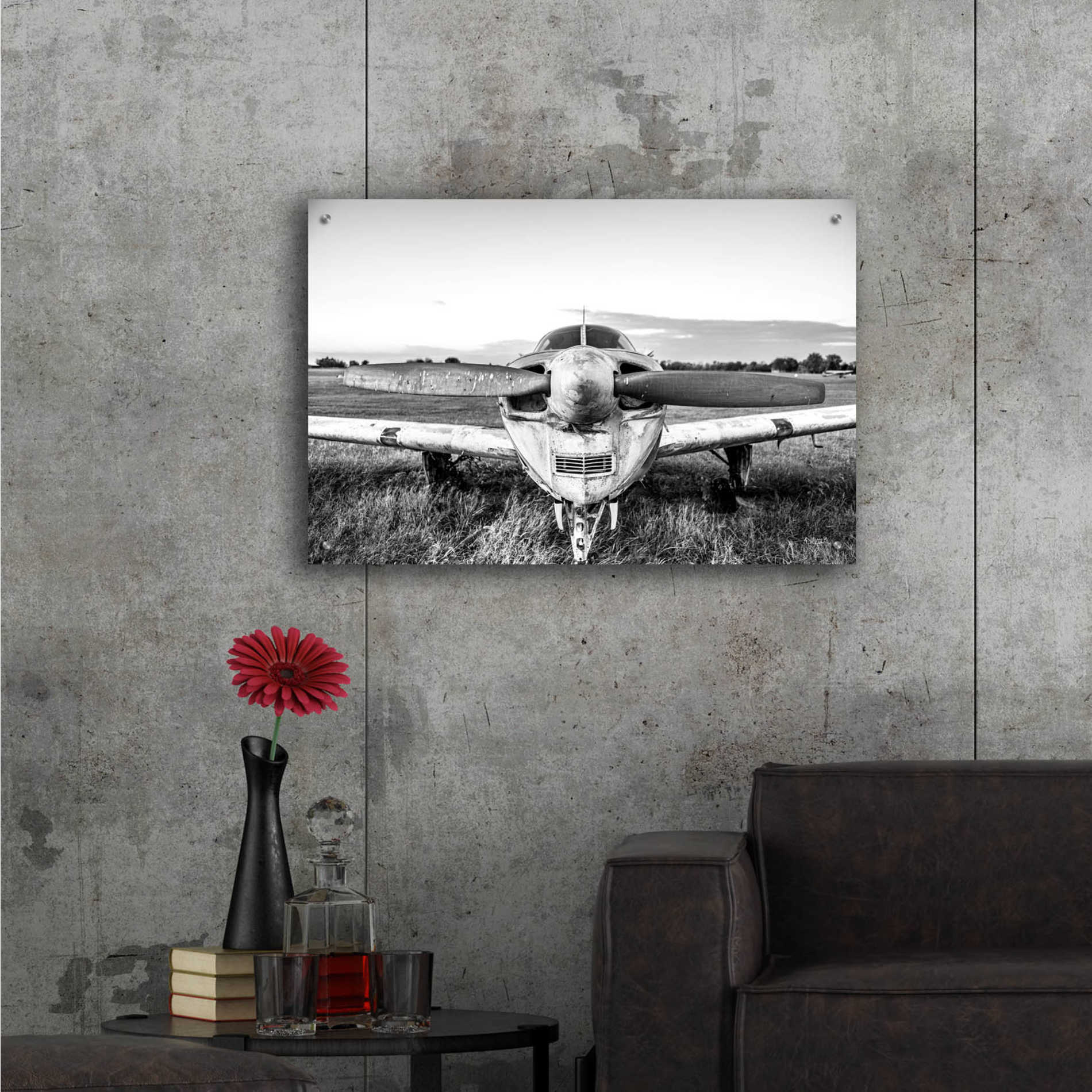 Epic Art 'Last Flight II' by Donnie Quillen, Acrylic Glass Wall Art,36x24