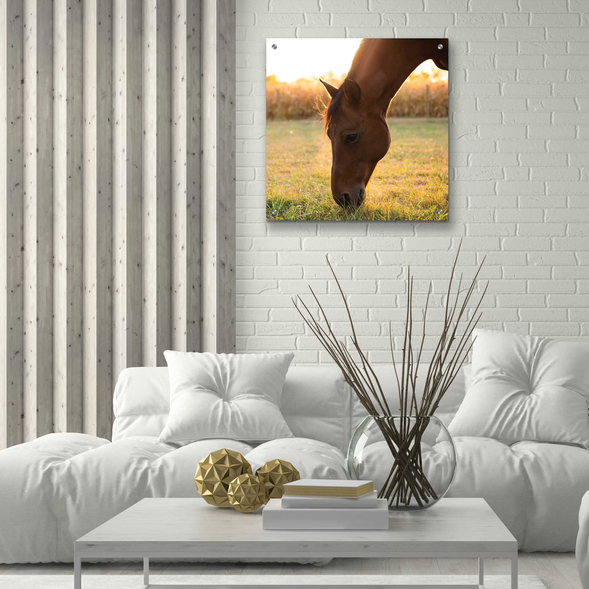 Epic Art 'Sunset Grazing II' by Donnie Quillen, Acrylic Glass Wall Art,24x24