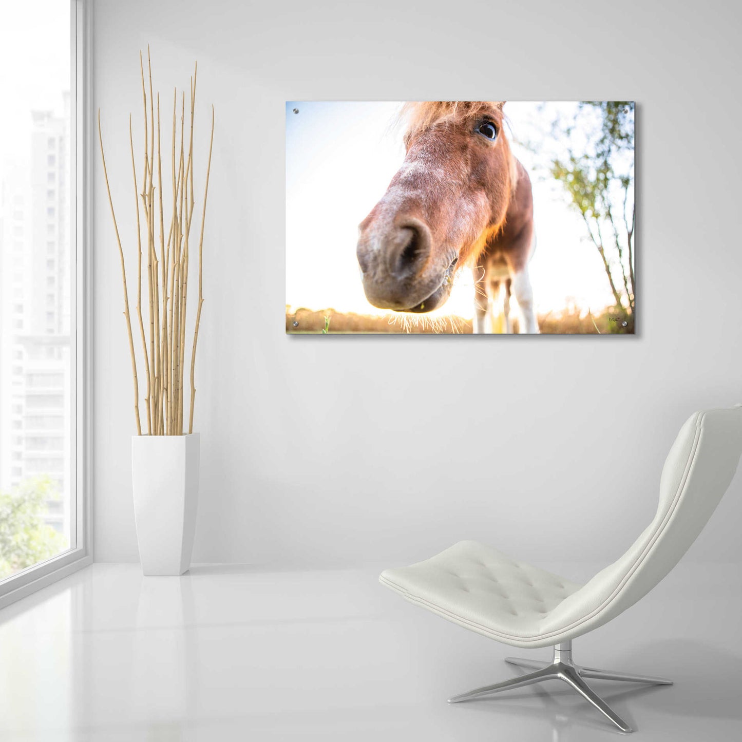 Epic Art 'Hi Horse' by Donnie Quillen, Acrylic Glass Wall Art,36x24