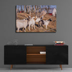 Epic Art 'Goats of a Feather' by Donnie Quillen, Acrylic Glass Wall Art,36x24