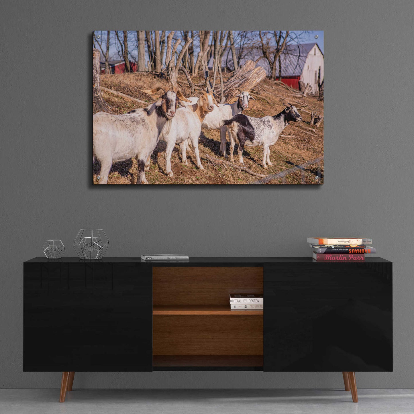 Epic Art 'Goats of a Feather' by Donnie Quillen, Acrylic Glass Wall Art,36x24