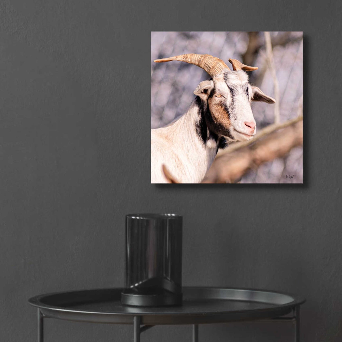 Epic Art 'Brown Goat' by Donnie Quillen, Acrylic Glass Wall Art,12x12