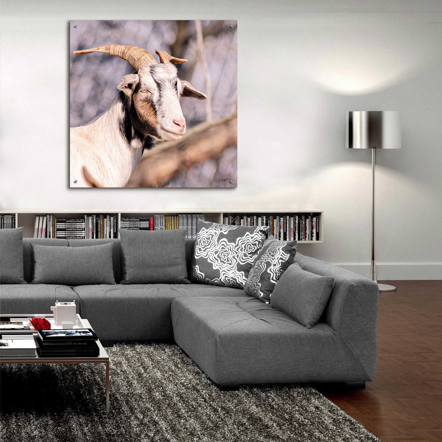 Epic Art 'Brown Goat' by Donnie Quillen, Acrylic Glass Wall Art,36x36
