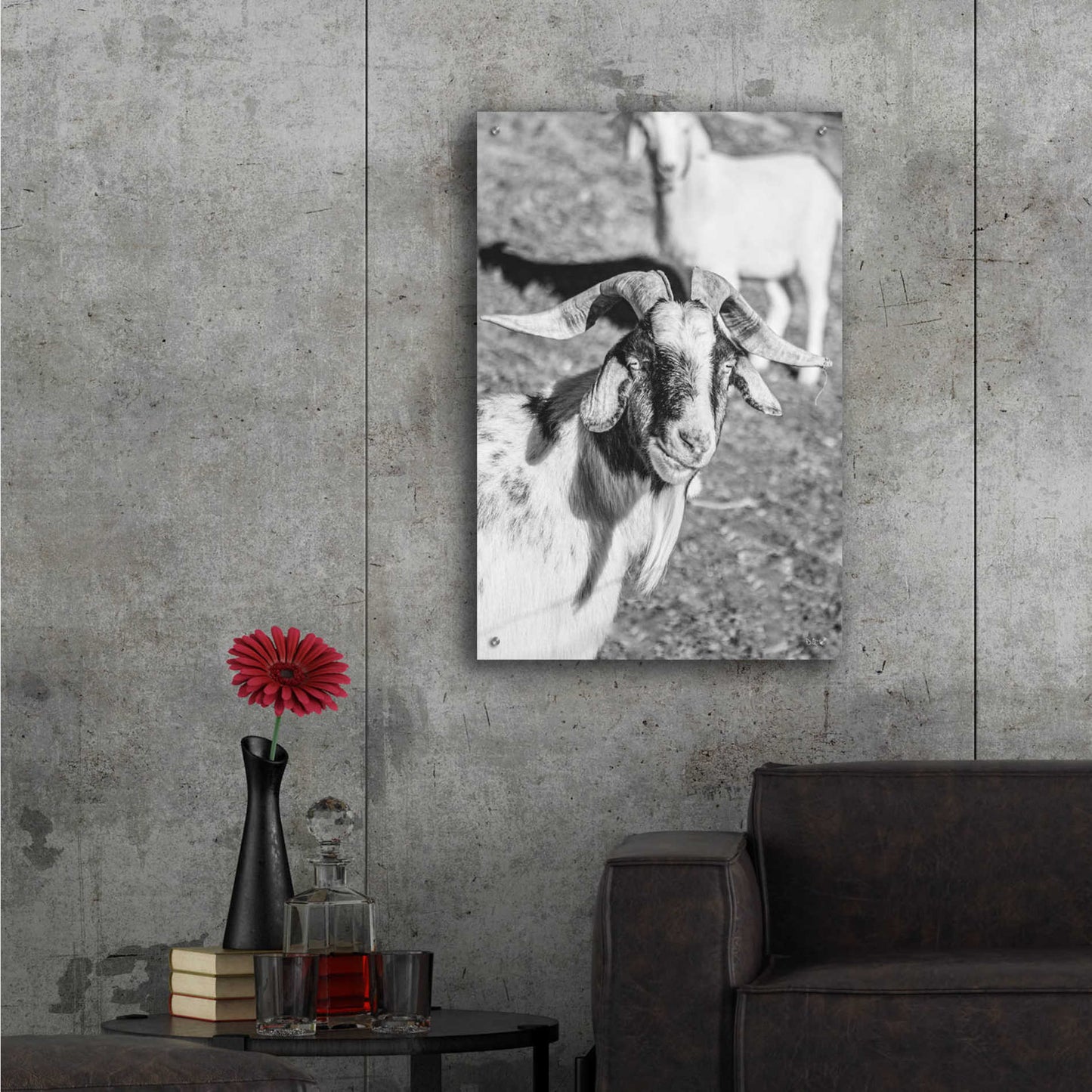 Epic Art 'Eating Goat' by Donnie Quillen, Acrylic Glass Wall Art,24x36