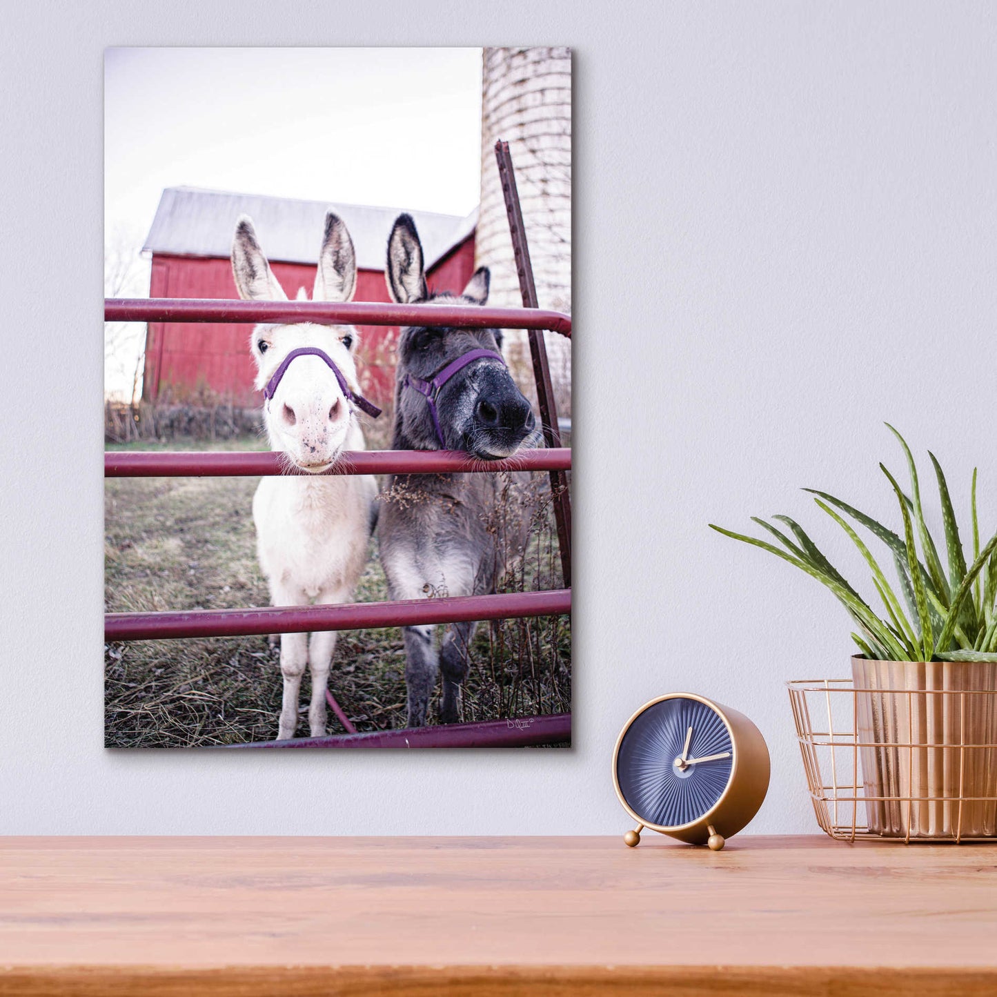 Epic Art 'Mommy & Daughter Donkeys' by Donnie Quillen, Acrylic Glass Wall Art,12x16