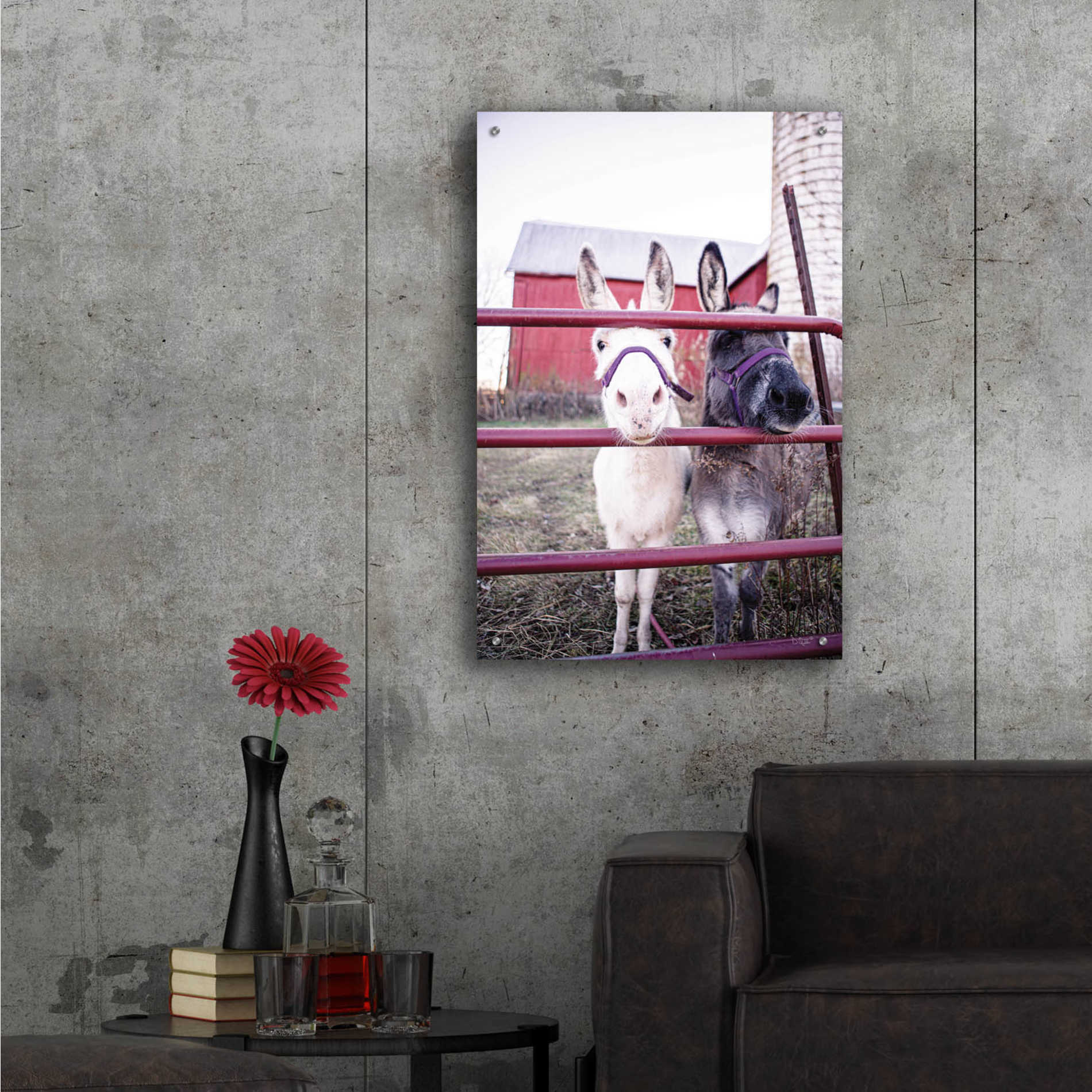 Epic Art 'Mommy & Daughter Donkeys' by Donnie Quillen, Acrylic Glass Wall Art,24x36