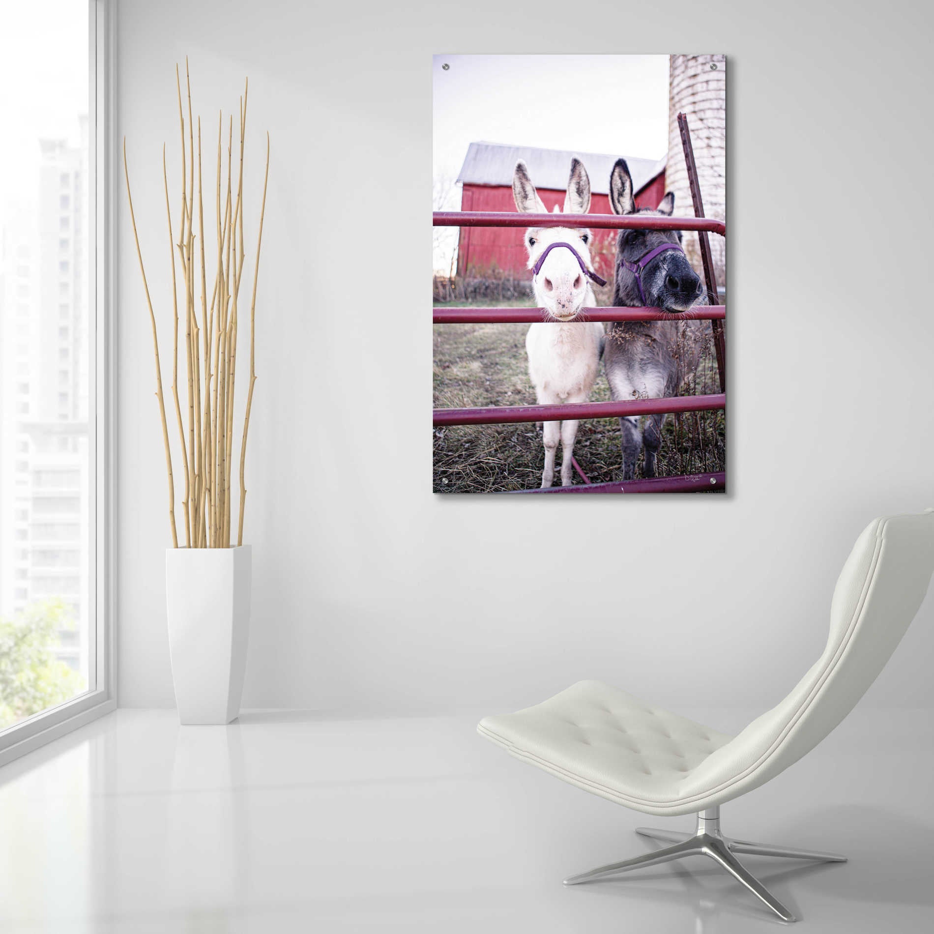 Epic Art 'Mommy & Daughter Donkeys' by Donnie Quillen, Acrylic Glass Wall Art,24x36