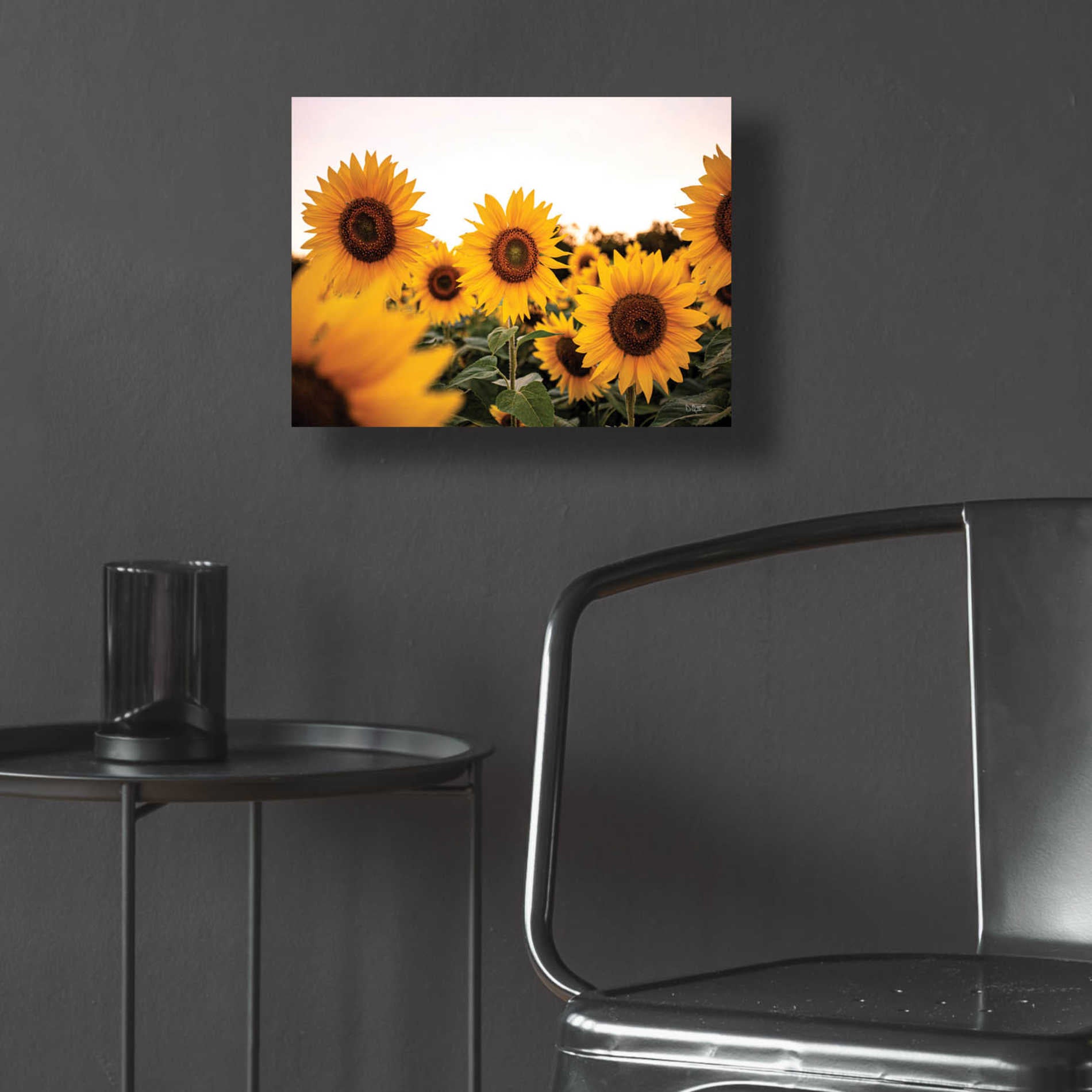 Epic Art 'Sunflower Field' by Donnie Quillen, Acrylic Glass Wall Art,16x12