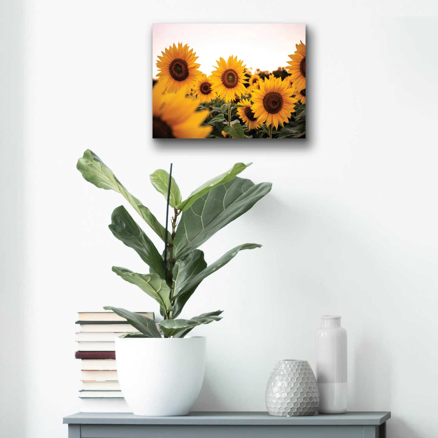 Epic Art 'Sunflower Field' by Donnie Quillen, Acrylic Glass Wall Art,16x12