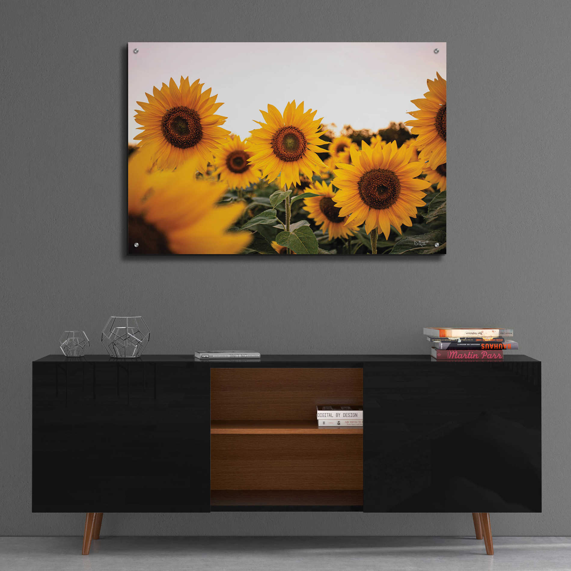 Epic Art 'Sunflower Field' by Donnie Quillen, Acrylic Glass Wall Art,36x24