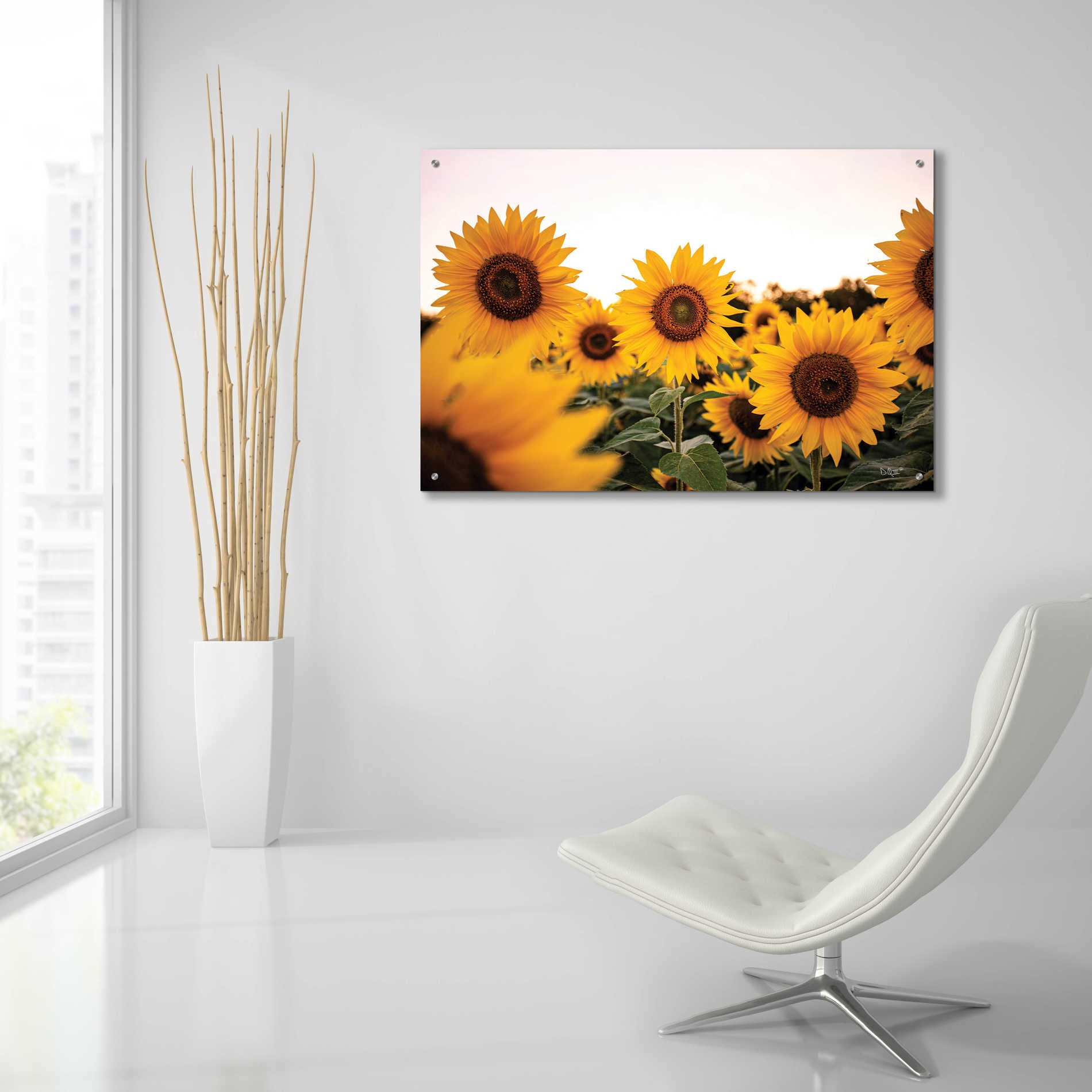 Epic Art 'Sunflower Field' by Donnie Quillen, Acrylic Glass Wall Art,36x24