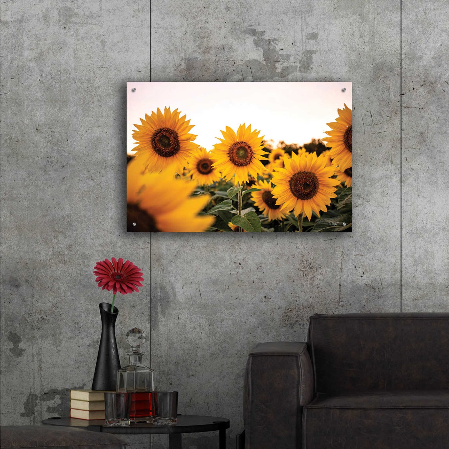 Epic Art 'Sunflower Field' by Donnie Quillen, Acrylic Glass Wall Art,36x24