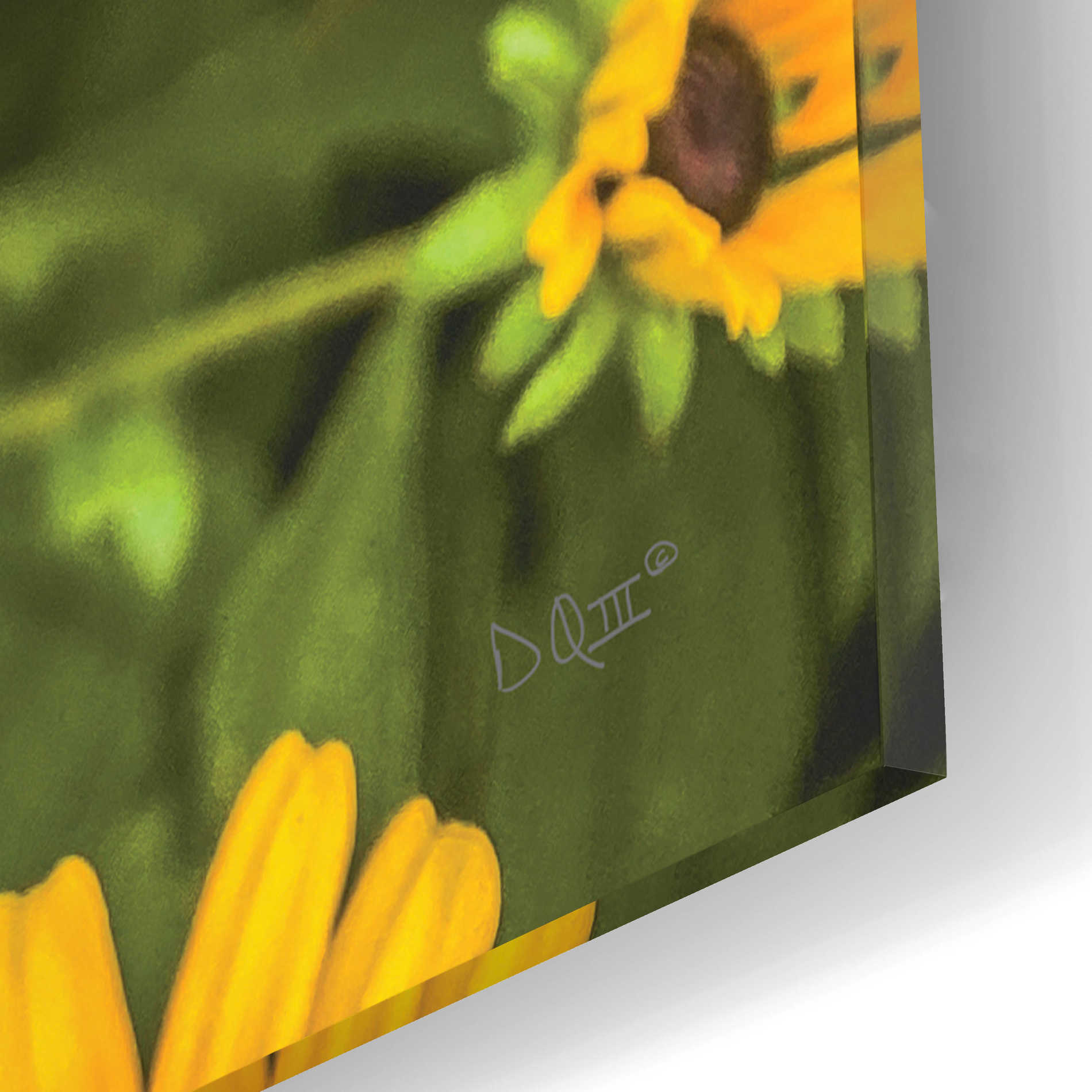 Epic Art 'Bed of Yellow' by Donnie Quillen, Acrylic Glass Wall Art,12x16