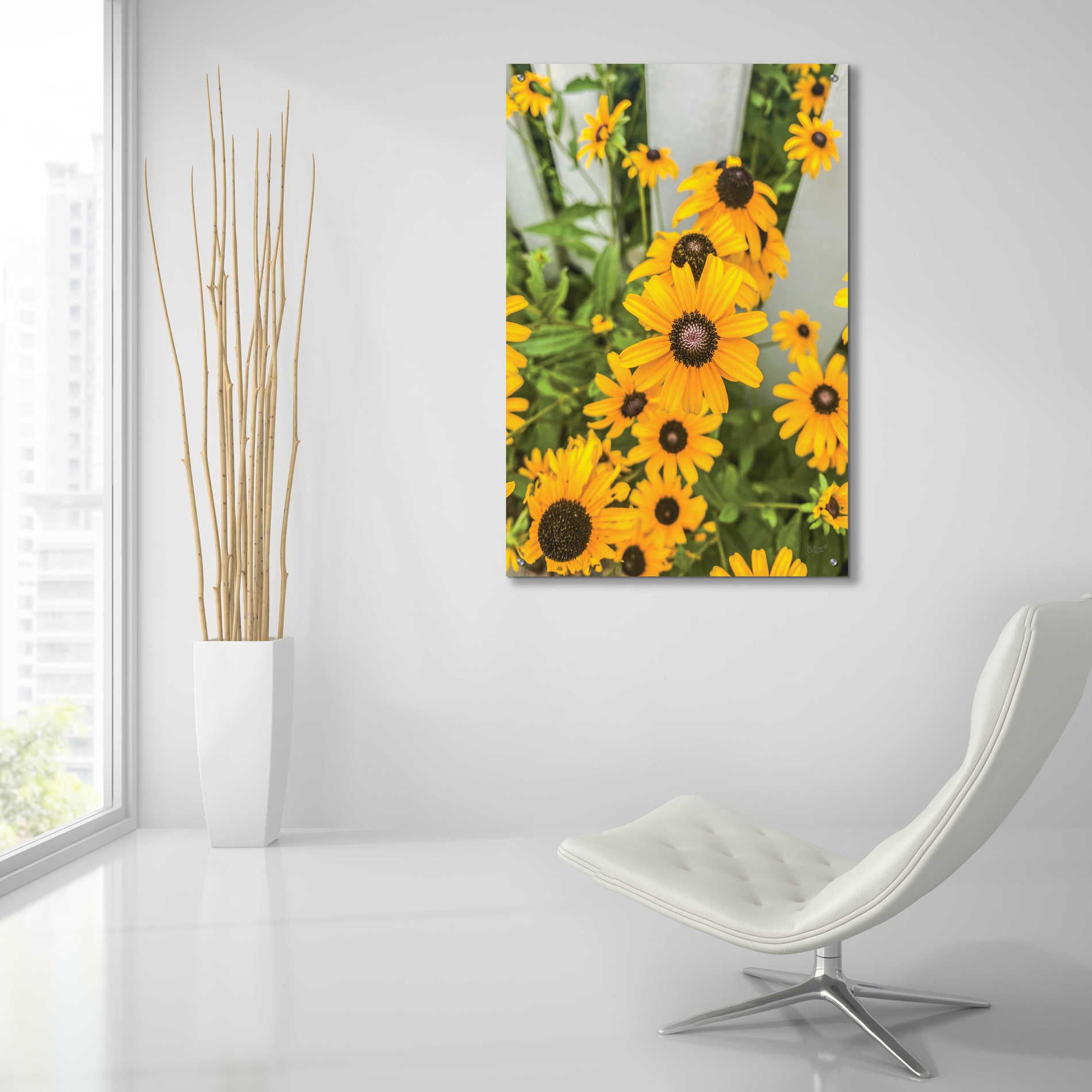 Epic Art 'Bed of Yellow' by Donnie Quillen, Acrylic Glass Wall Art,24x36