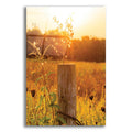 Epic Art 'Post' by Donnie Quillen, Acrylic Glass Wall Art