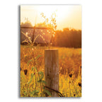 Epic Art 'Post' by Donnie Quillen, Acrylic Glass Wall Art