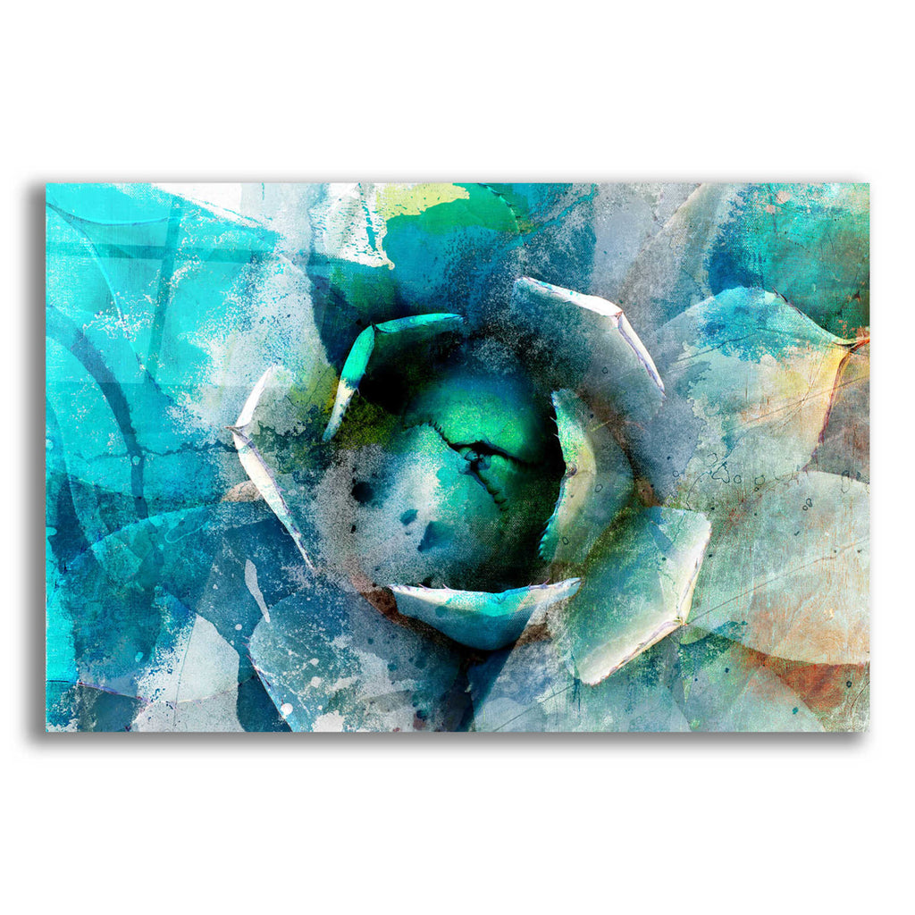 Epic Art 'Agave Abstract I' by Sisa Jasper,' Acrylic Glass Wall Art