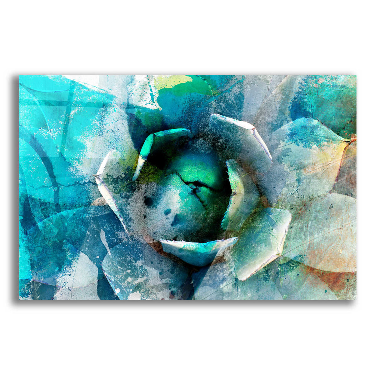 Epic Art 'Agave Abstract I' by Sisa Jasper,' Acrylic Glass Wall Art