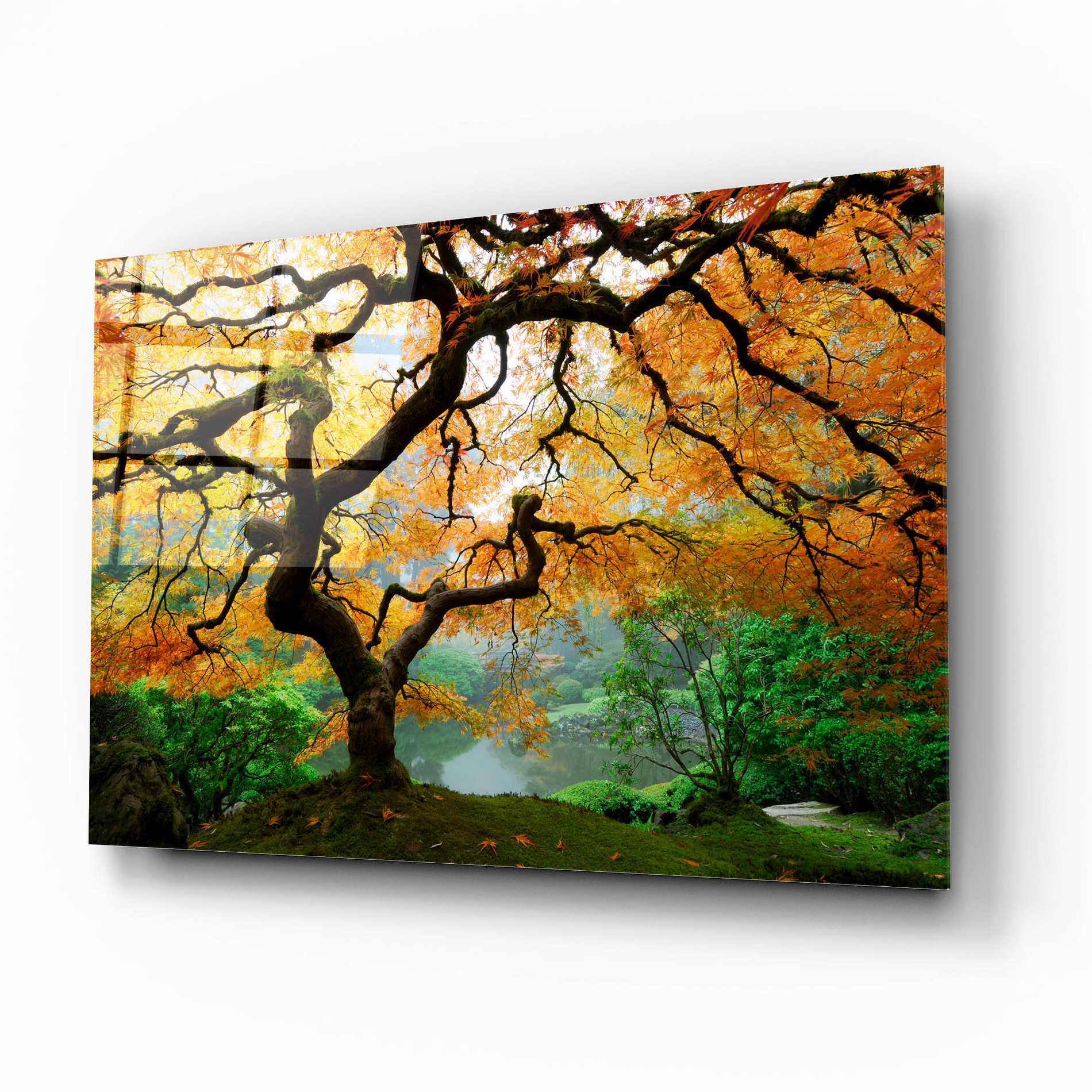 Epic Art 'Magical Autumn,' Acrylic Glass Wall Art,16x12