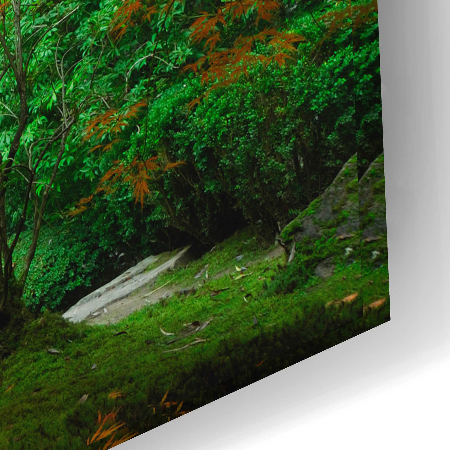 Epic Art 'Magical Autumn,' Acrylic Glass Wall Art,24x16