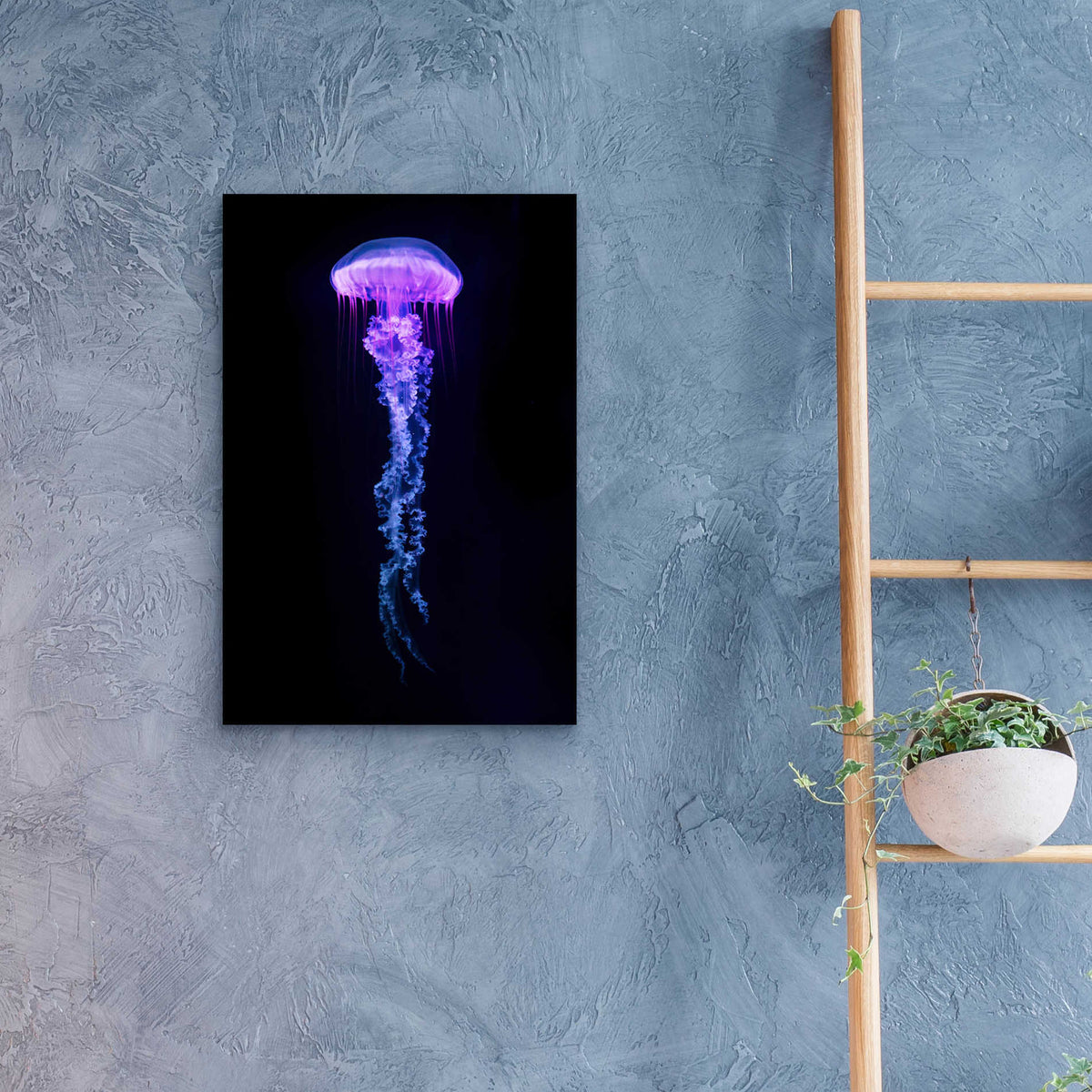 Epic Art 'Medusa,' Acrylic Glass Wall Art,16x24