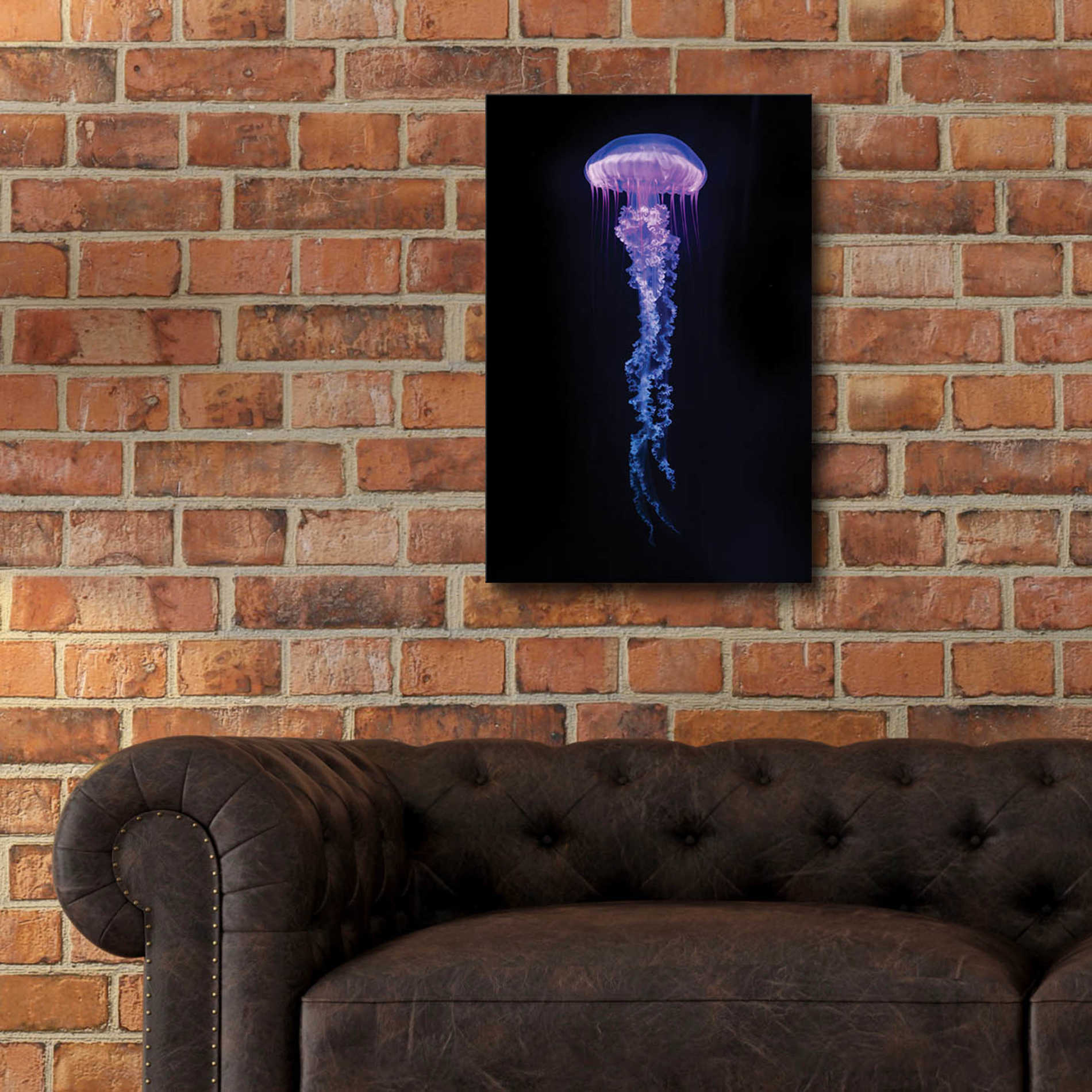 Epic Art 'Medusa,' Acrylic Glass Wall Art,16x24