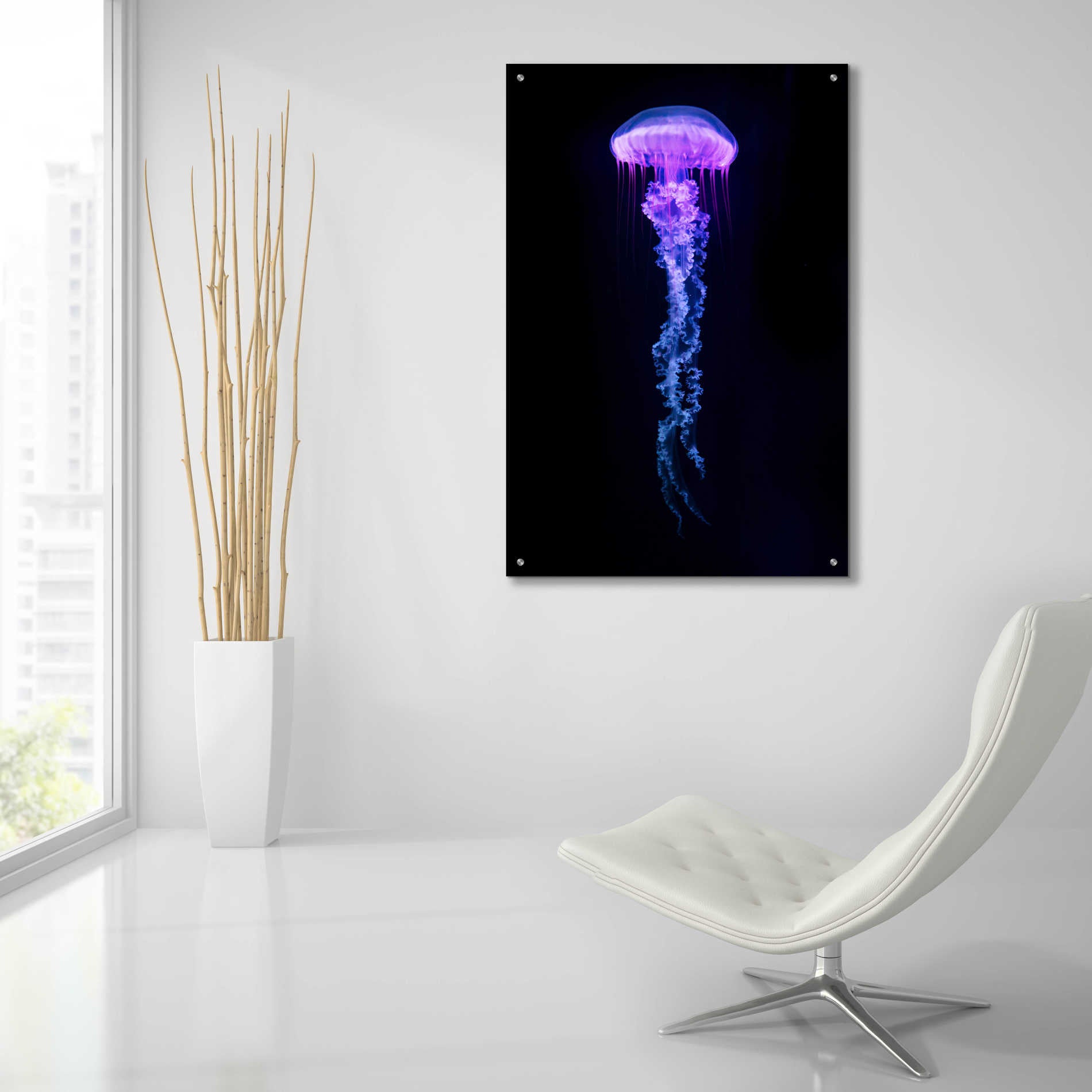 Epic Art 'Medusa,' Acrylic Glass Wall Art,24x36