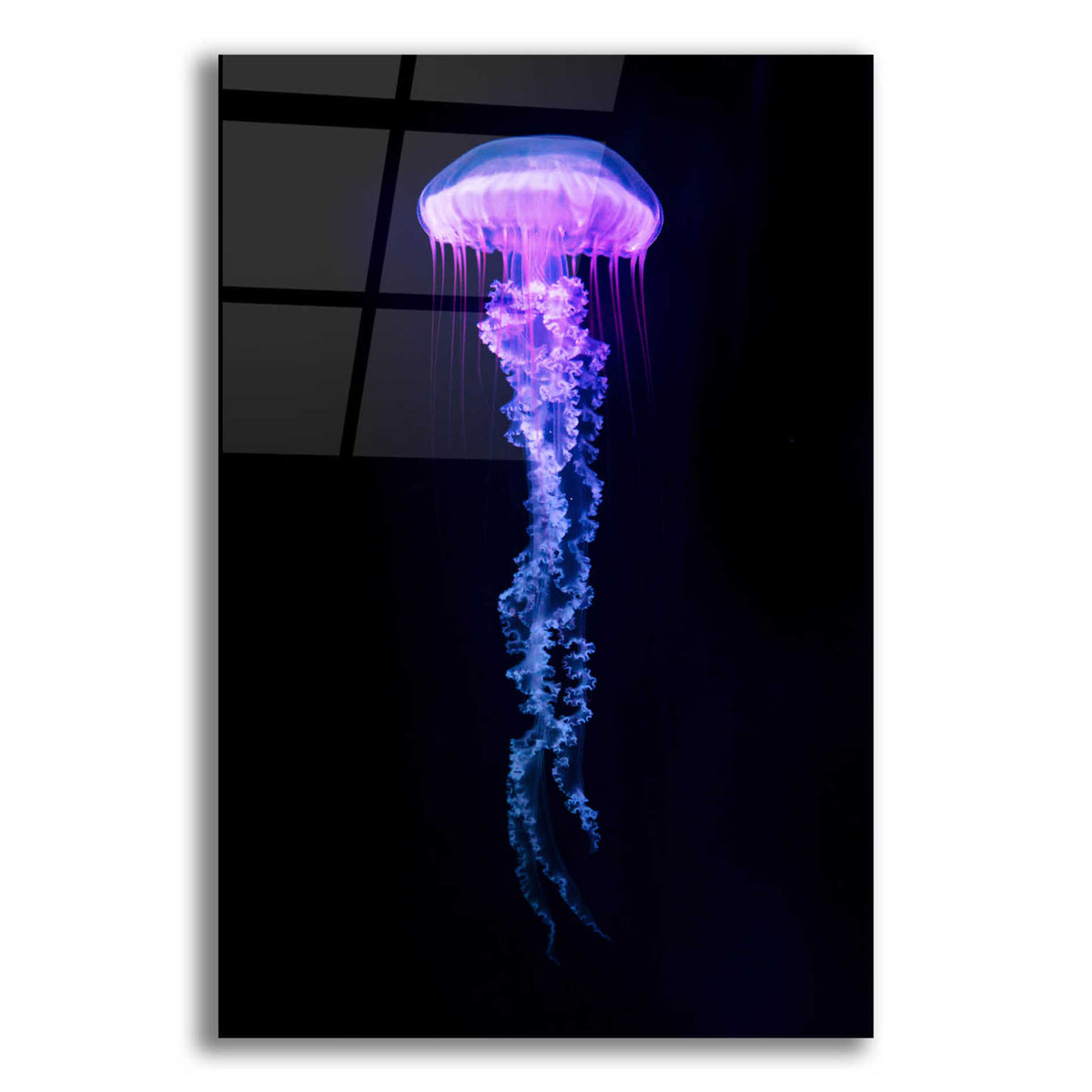 Epic Art 'Medusa,' Acrylic Glass Wall Art