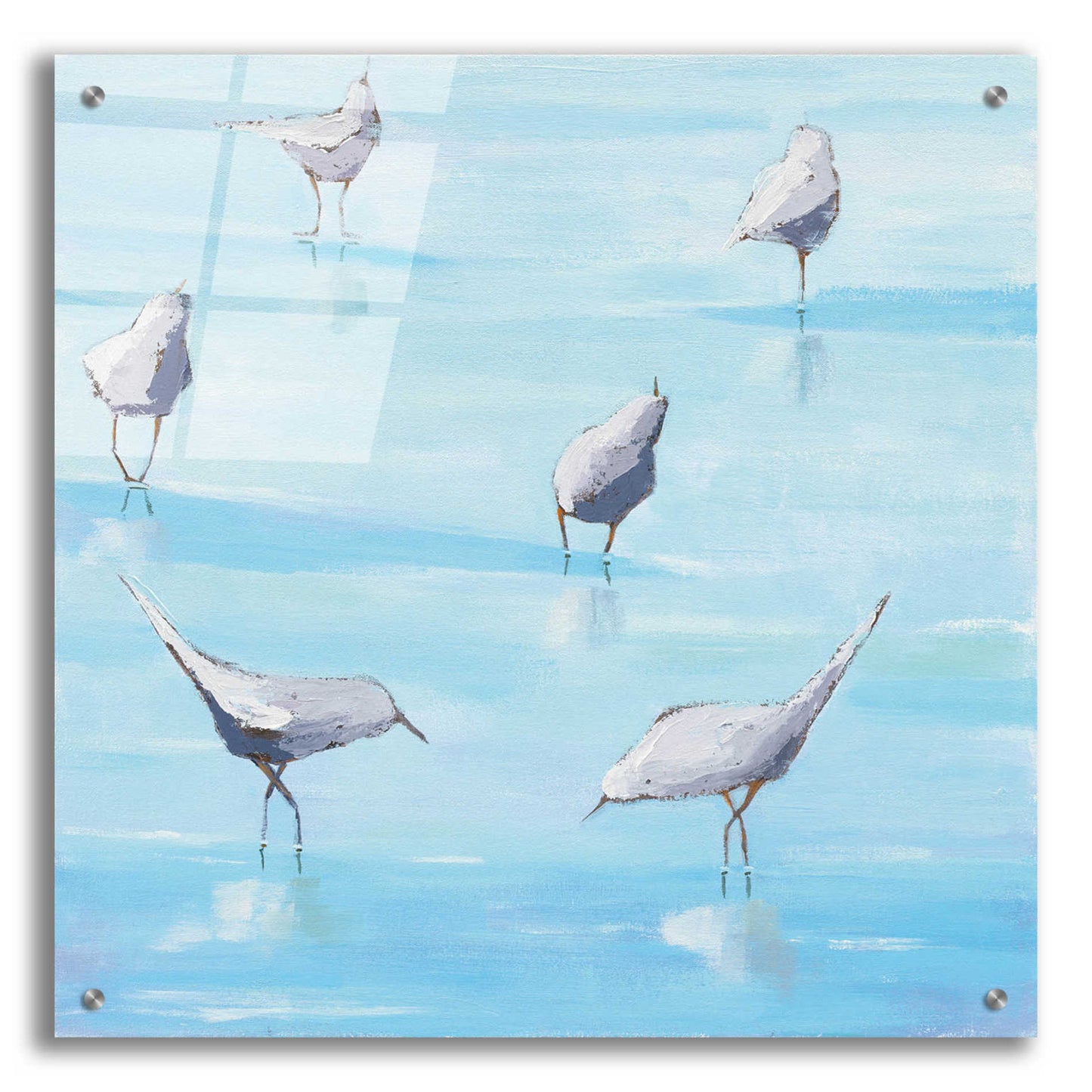 Epic Art 'By the Waters Edge' by Phyllis Adams, Acrylic Glass Wall Art,24x24