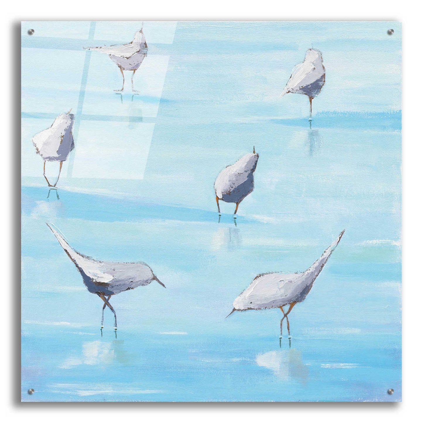 Epic Art 'By the Waters Edge' by Phyllis Adams, Acrylic Glass Wall Art,36x36