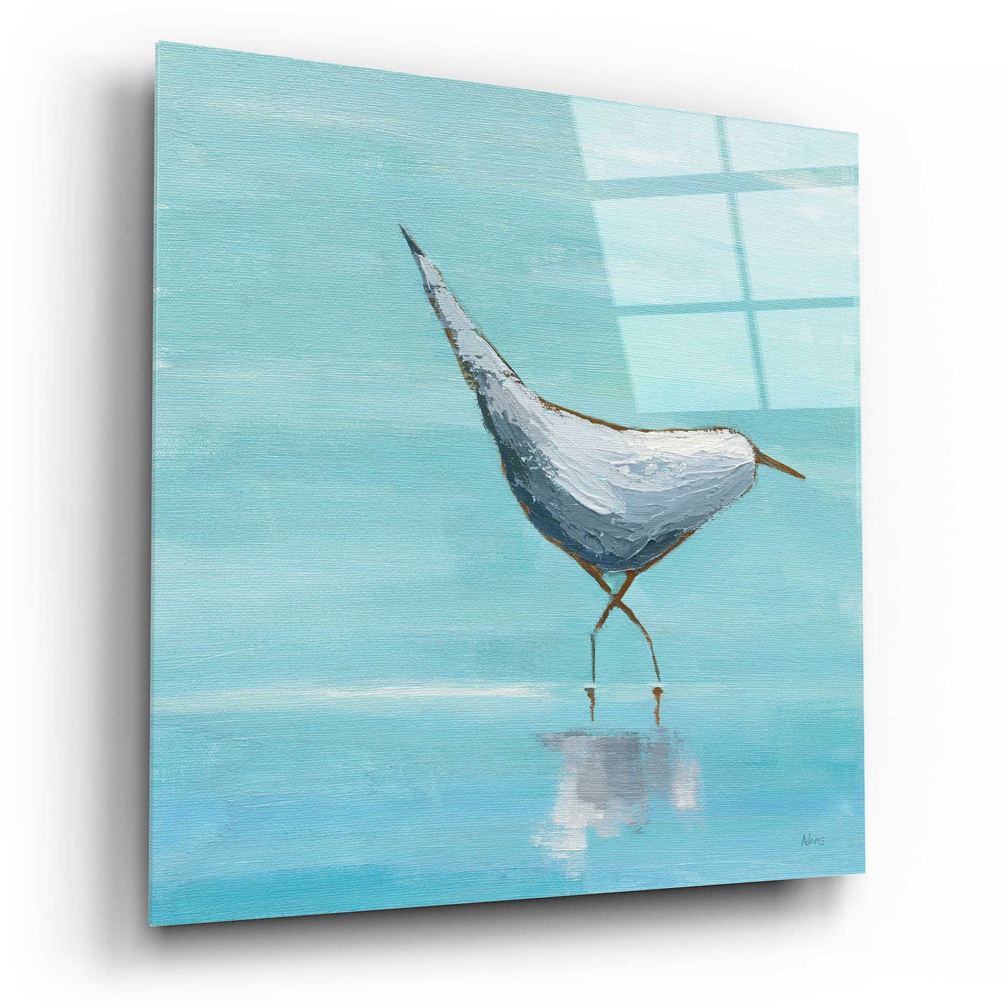 Epic Art 'Egret I' by Phyllis Adams, Acrylic Glass Wall Art,12x12