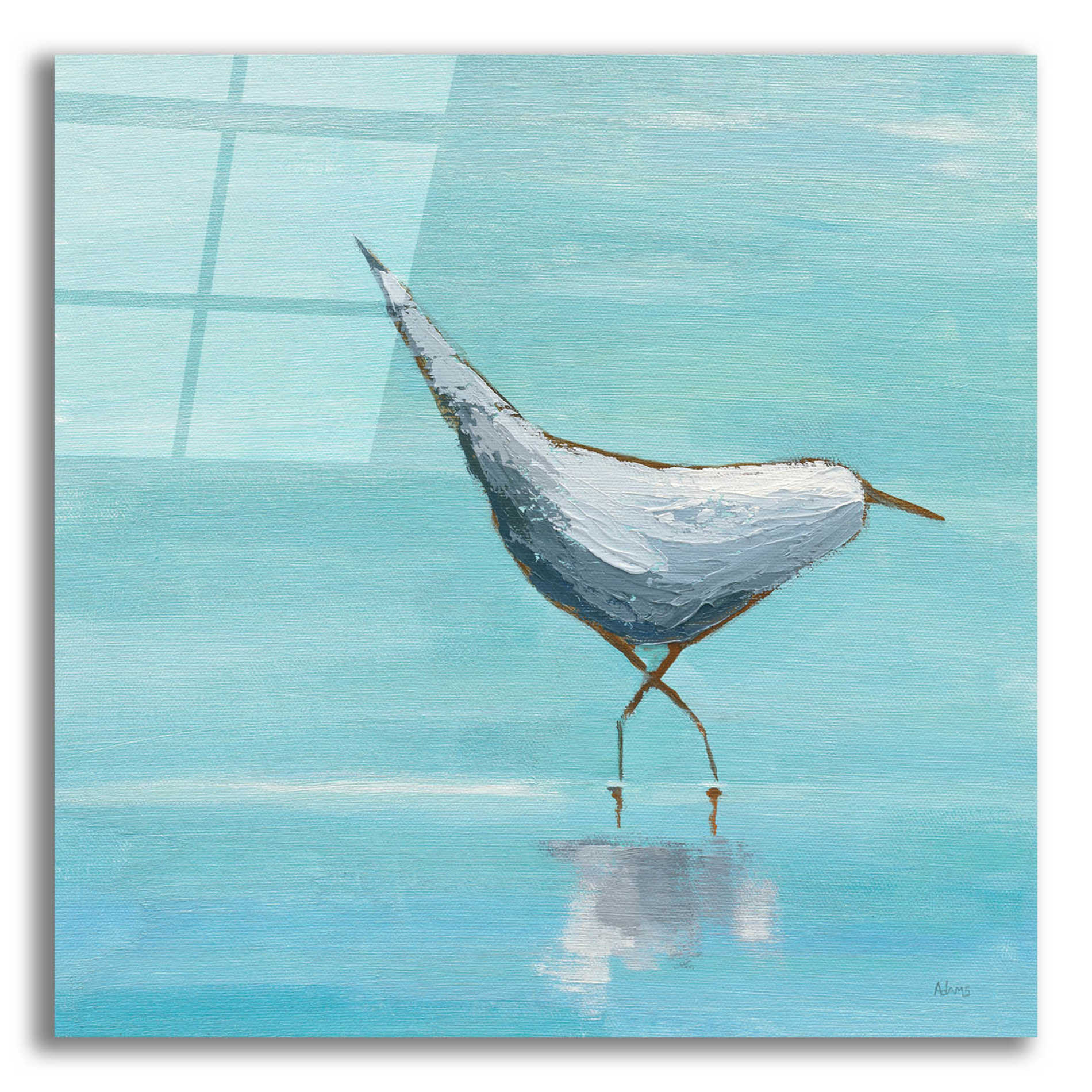 Epic Art 'Egret I' by Phyllis Adams, Acrylic Glass Wall Art,12x12