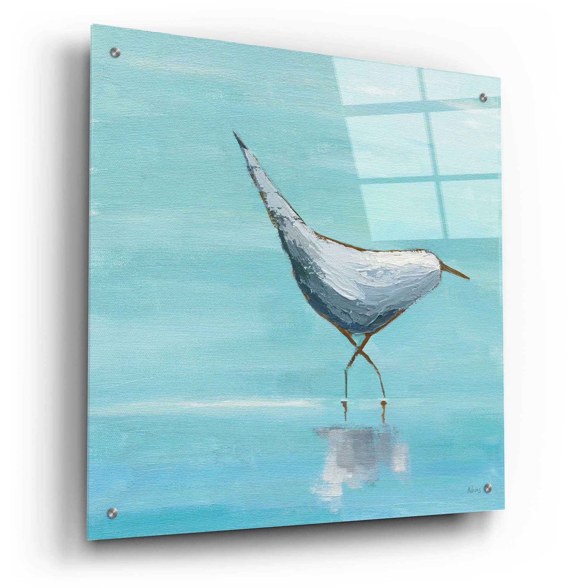 Epic Art 'Egret I' by Phyllis Adams, Acrylic Glass Wall Art,24x24