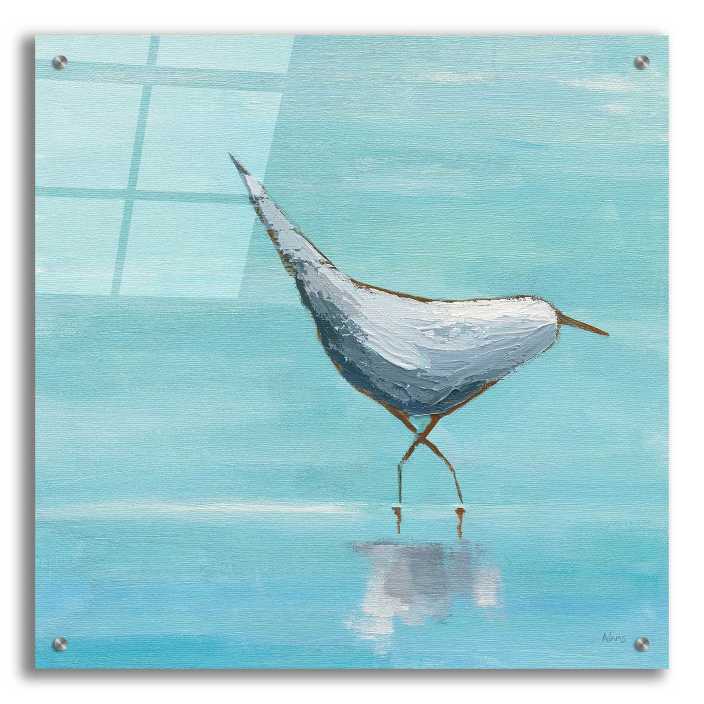 Epic Art 'Egret I' by Phyllis Adams, Acrylic Glass Wall Art,24x24