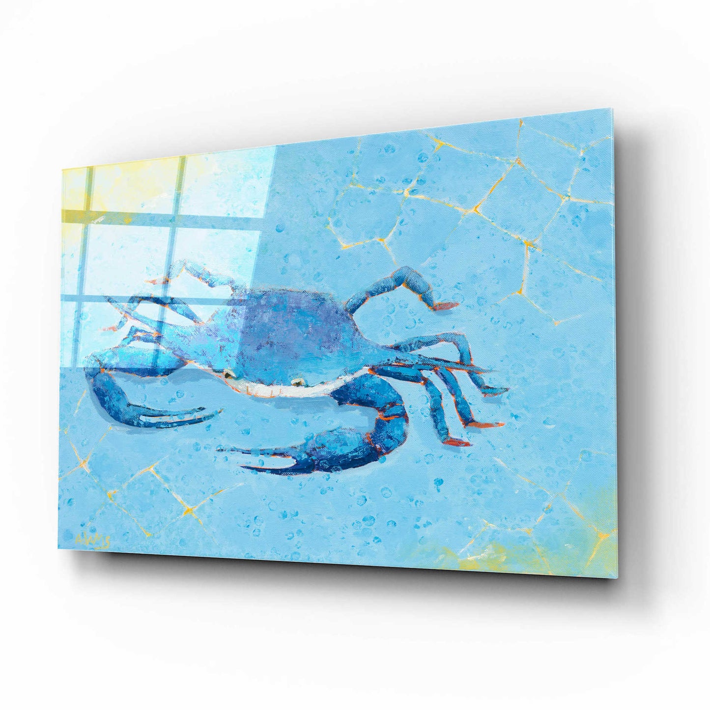 Epic Art 'Blue Crab V' by Phyllis Adams, Acrylic Glass Wall Art,16x12