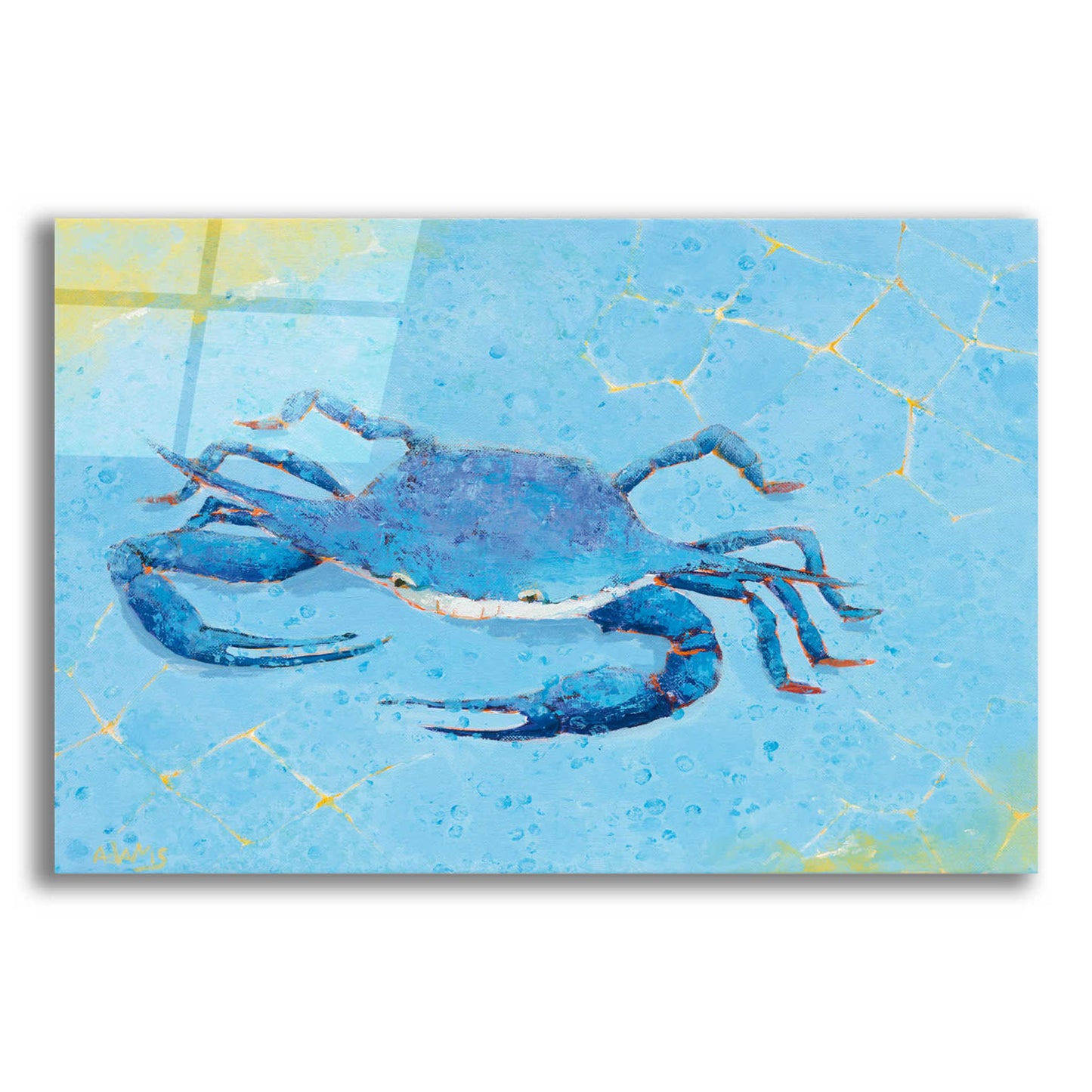 Epic Art 'Blue Crab V' by Phyllis Adams, Acrylic Glass Wall Art,16x12