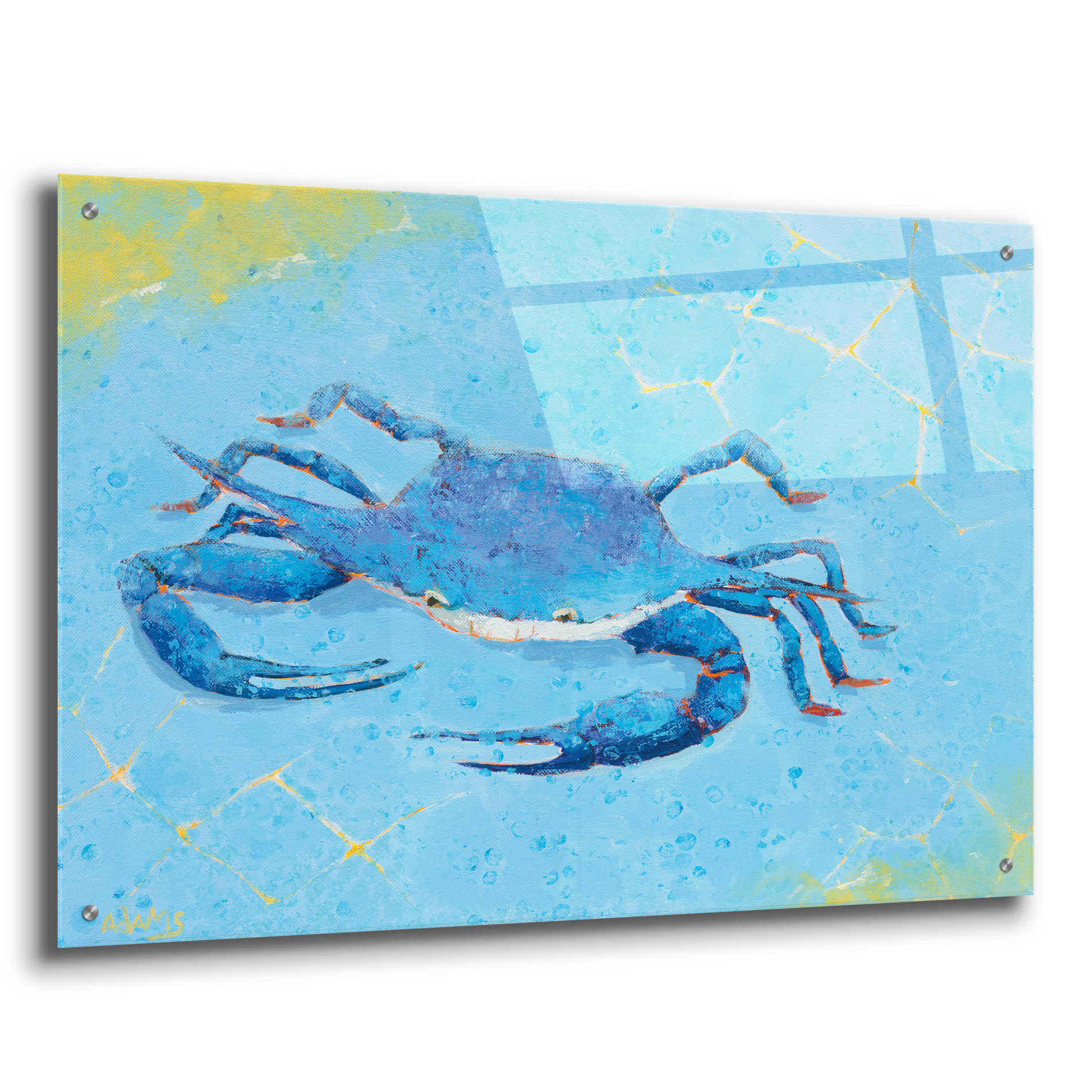 Epic Art 'Blue Crab V' by Phyllis Adams, Acrylic Glass Wall Art,36x24