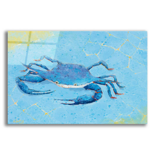 Epic Art 'Blue Crab V' by Phyllis Adams, Acrylic Glass Wall Art