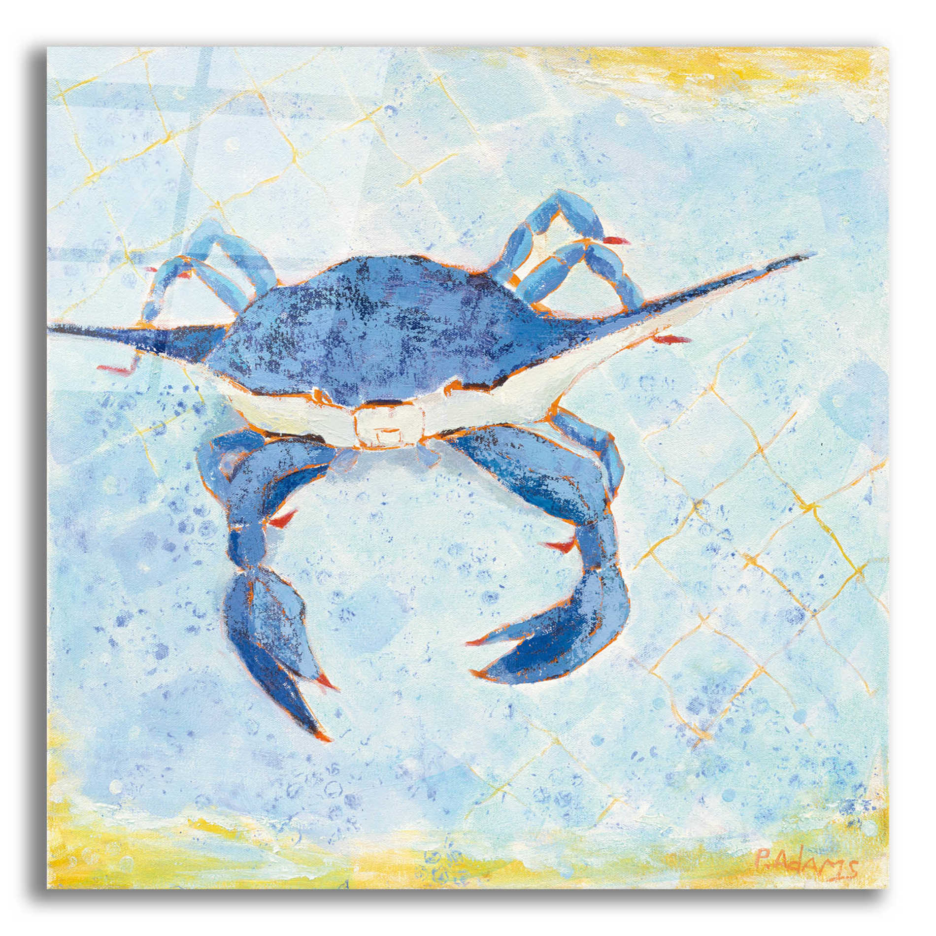 Epic Art 'Blue Crab VI' by Phyllis Adams, Acrylic Glass Wall Art,12x12