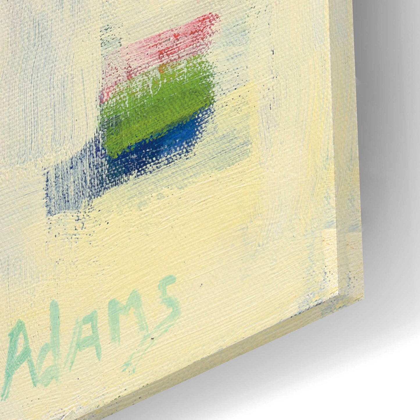 Epic Art 'One Fish Two Fish' by Phyllis Adams, Acrylic Glass Wall Art,12x12