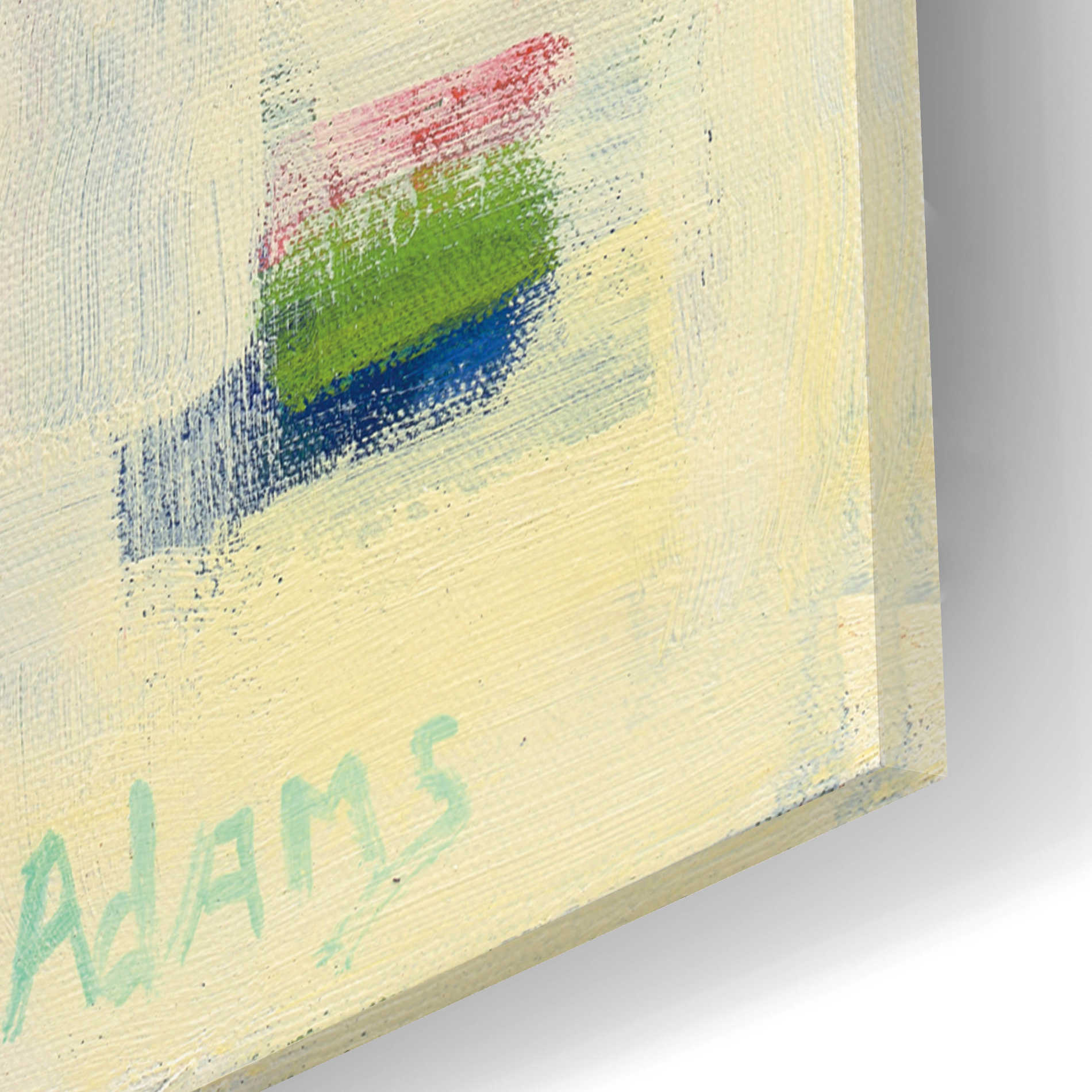 Epic Art 'One Fish Two Fish' by Phyllis Adams, Acrylic Glass Wall Art,12x12
