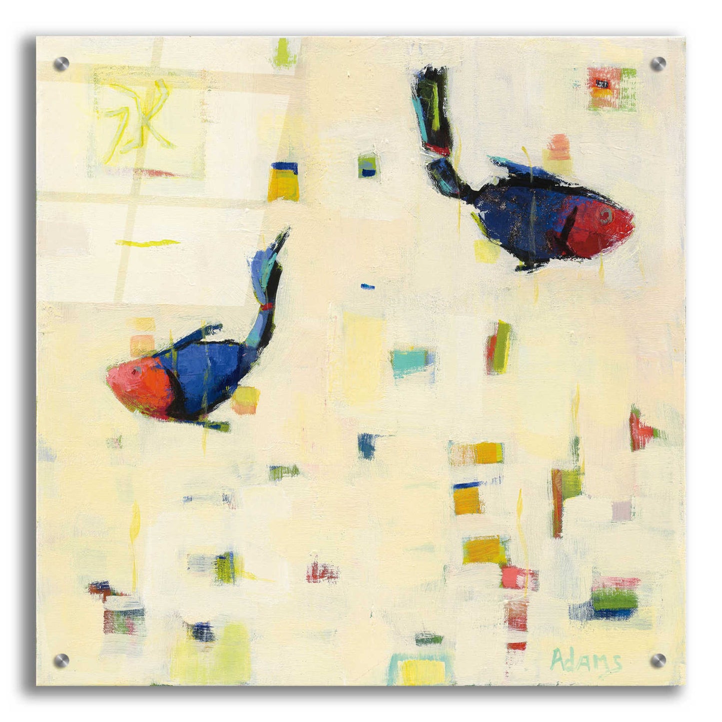 Epic Art 'One Fish Two Fish' by Phyllis Adams, Acrylic Glass Wall Art,24x24