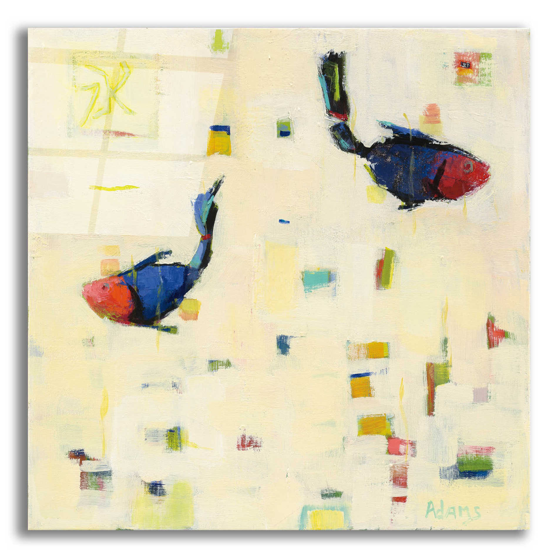 Epic Art 'One Fish Two Fish' by Phyllis Adams, Acrylic Glass Wall Art