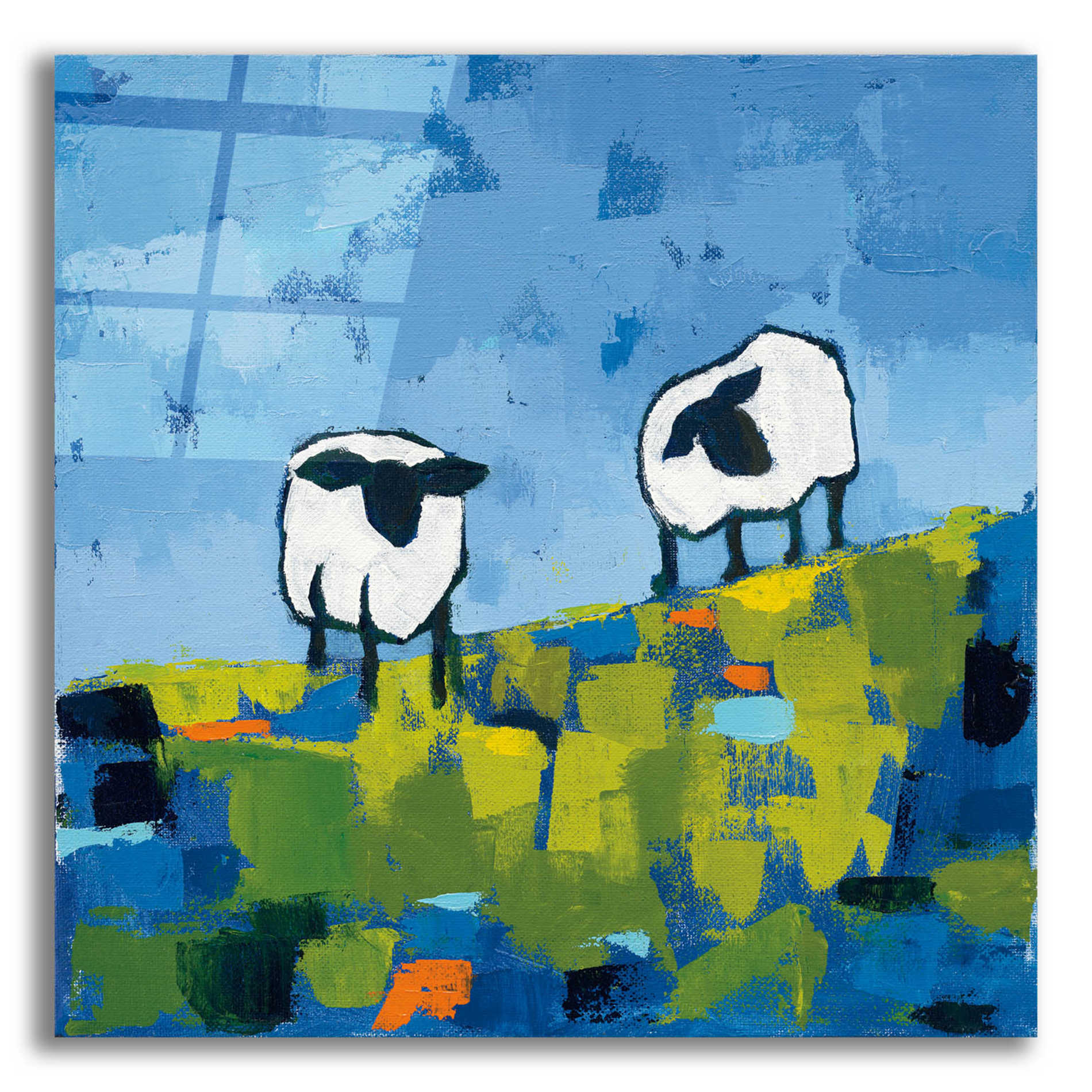 Epic Art 'Two Sheep' by Phyllis Adams, Acrylic Glass Wall Art,12x12