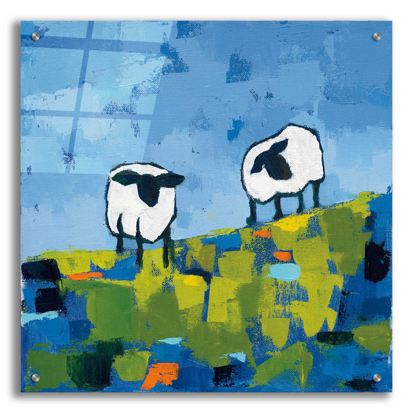 Epic Art 'Two Sheep' by Phyllis Adams, Acrylic Glass Wall Art,24x24