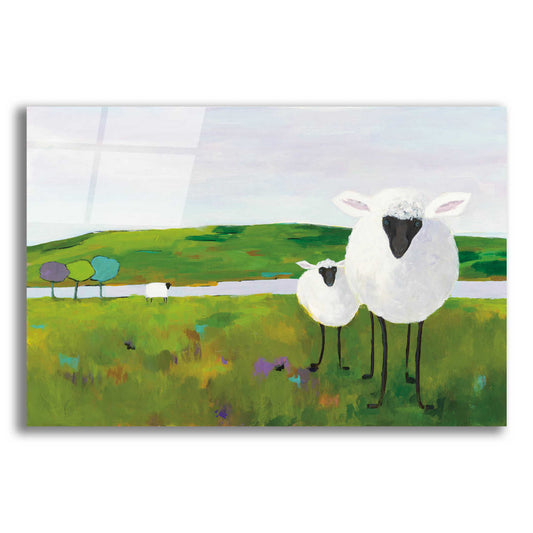 Epic Art 'Sheep in the Meadow' by Phyllis Adams, Acrylic Glass Wall Art