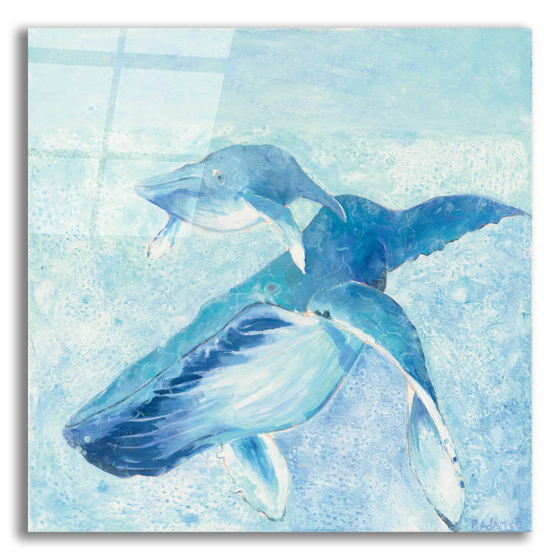 Epic Art 'Blue Mama' by Phyllis Adams, Acrylic Glass Wall Art,12x12